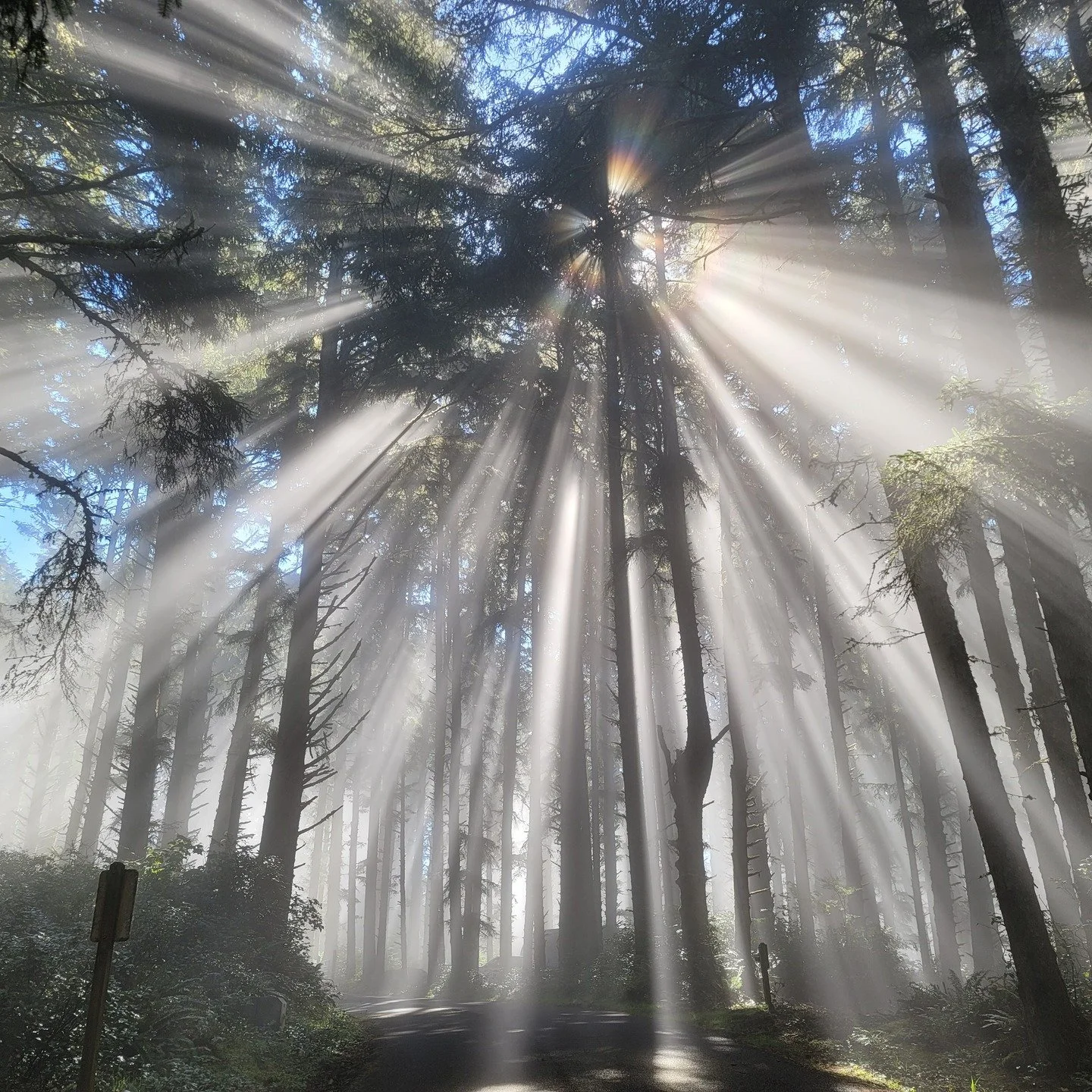 The hardest part of getting your finances on track isn't the math, it's the willingness to start fresh.

Maybe last week didn't go as planned. Maybe you overspent at Target, or that emergency fund is still sitting at zero. Here's what I want you to k