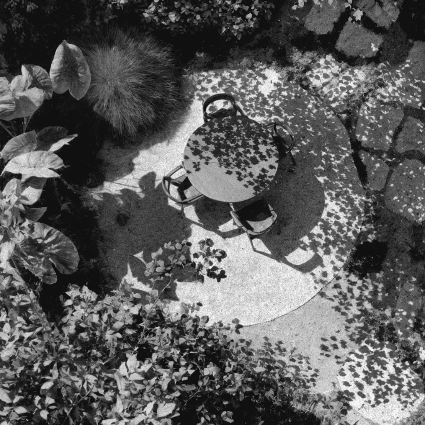 Cr&eacute;ation d&rsquo;un jardin d&rsquo;ombre sur mesure &agrave; Biarritz
Projet IBERICA en cours de r&eacute;alisation.

Sur ce projet, nous fa&ccedil;onnerons un espace min&eacute;ral et v&eacute;g&eacute;tal pens&eacute; pour la d&eacute;tente.