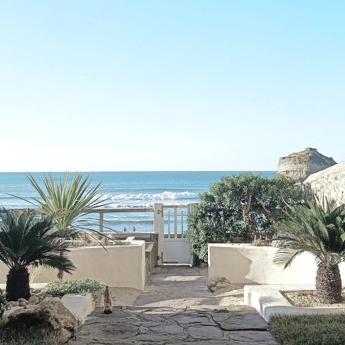 Miramar Cactus - Biarritz