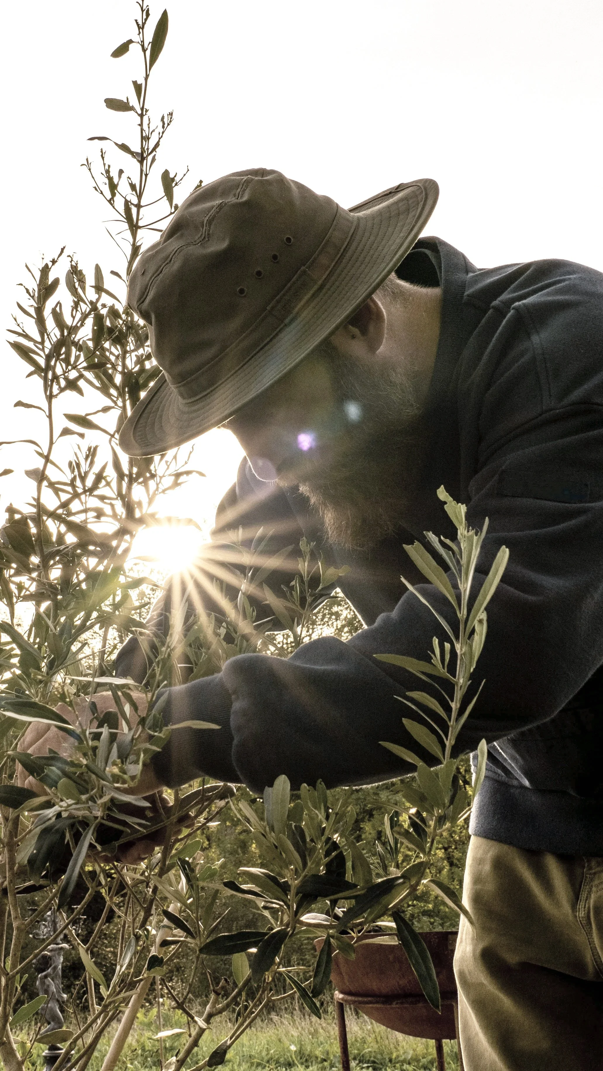 Les Gardeners Jardiniers Paysagistes Pays-basque Mathieu
