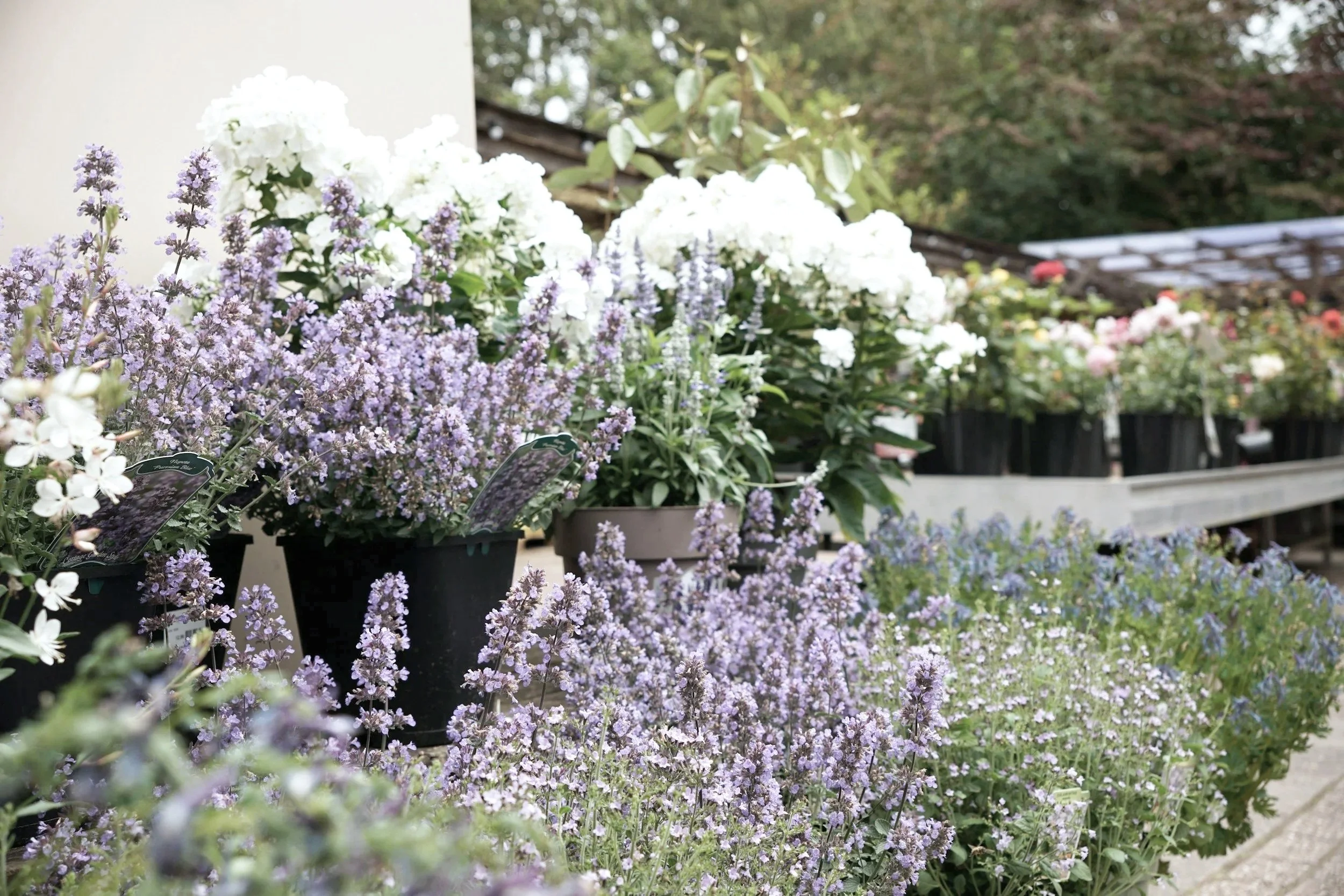 Les Gardeners Jardiniers Paysagistes Pays-basque Nos Partenaires