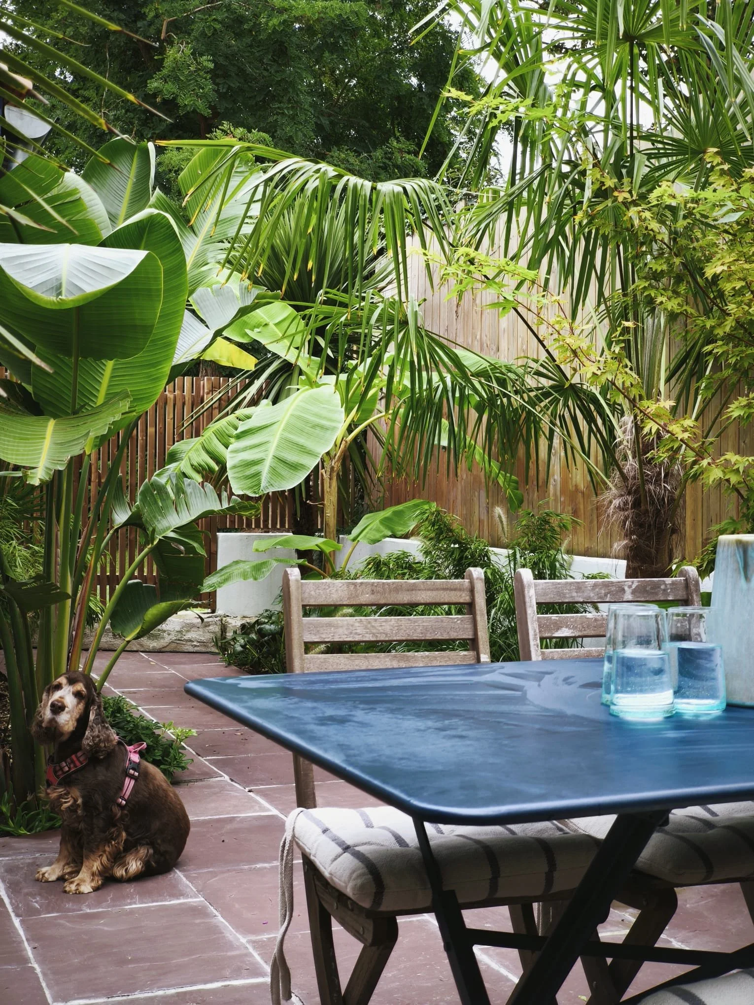 WhatsApp Image 2026-02-19 at 14.43.59 (3).jpeg