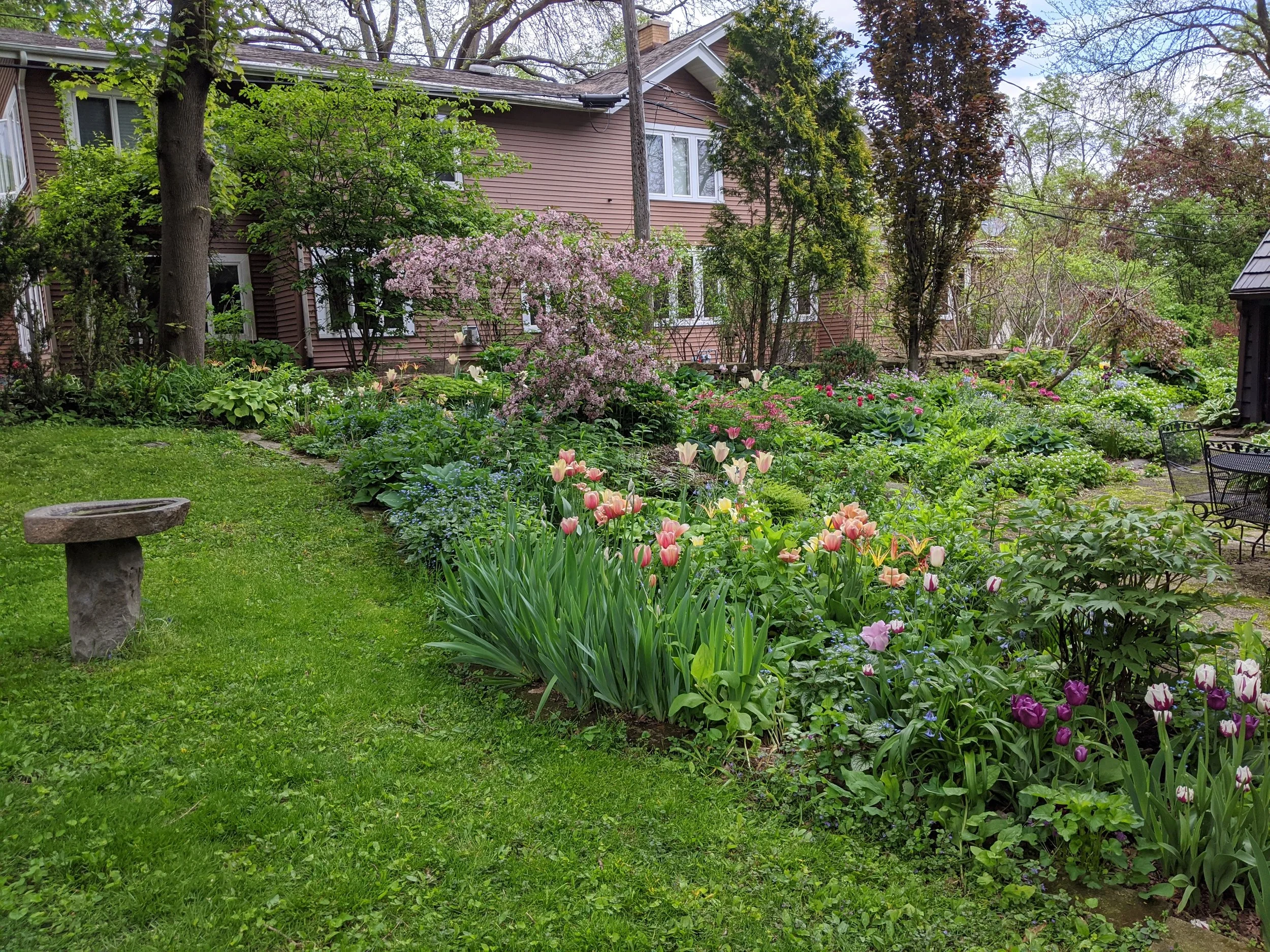 A lush garden with a variety of flowering plants and shrubs, a stone bench on a grassy lawn, and a house with pink siding in the background.
