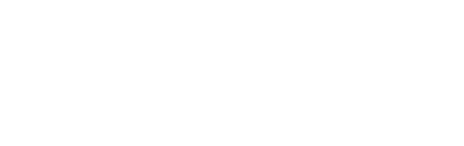 ACERO Technology Partners