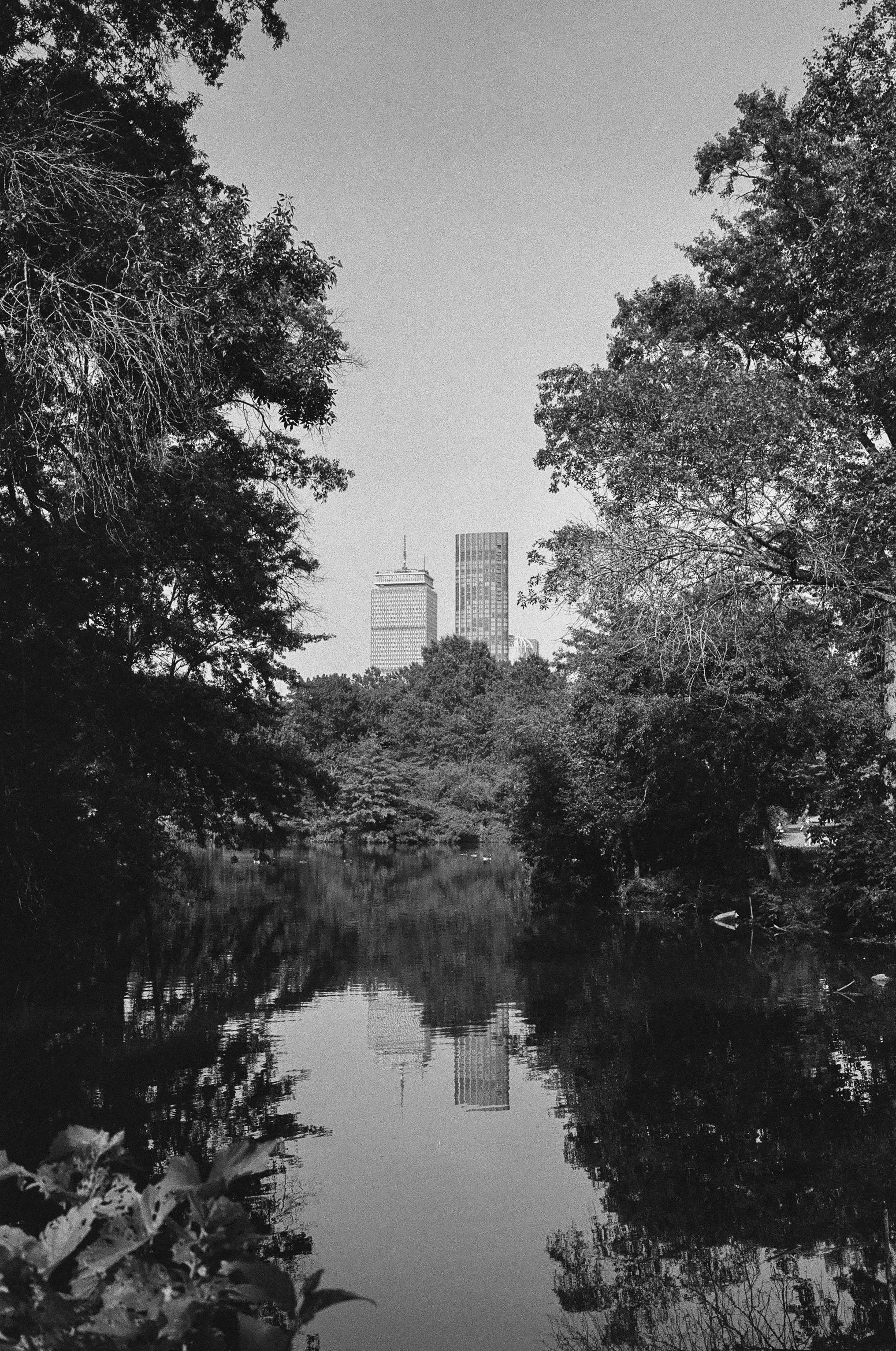 self.portrait (14 of 17).JPG