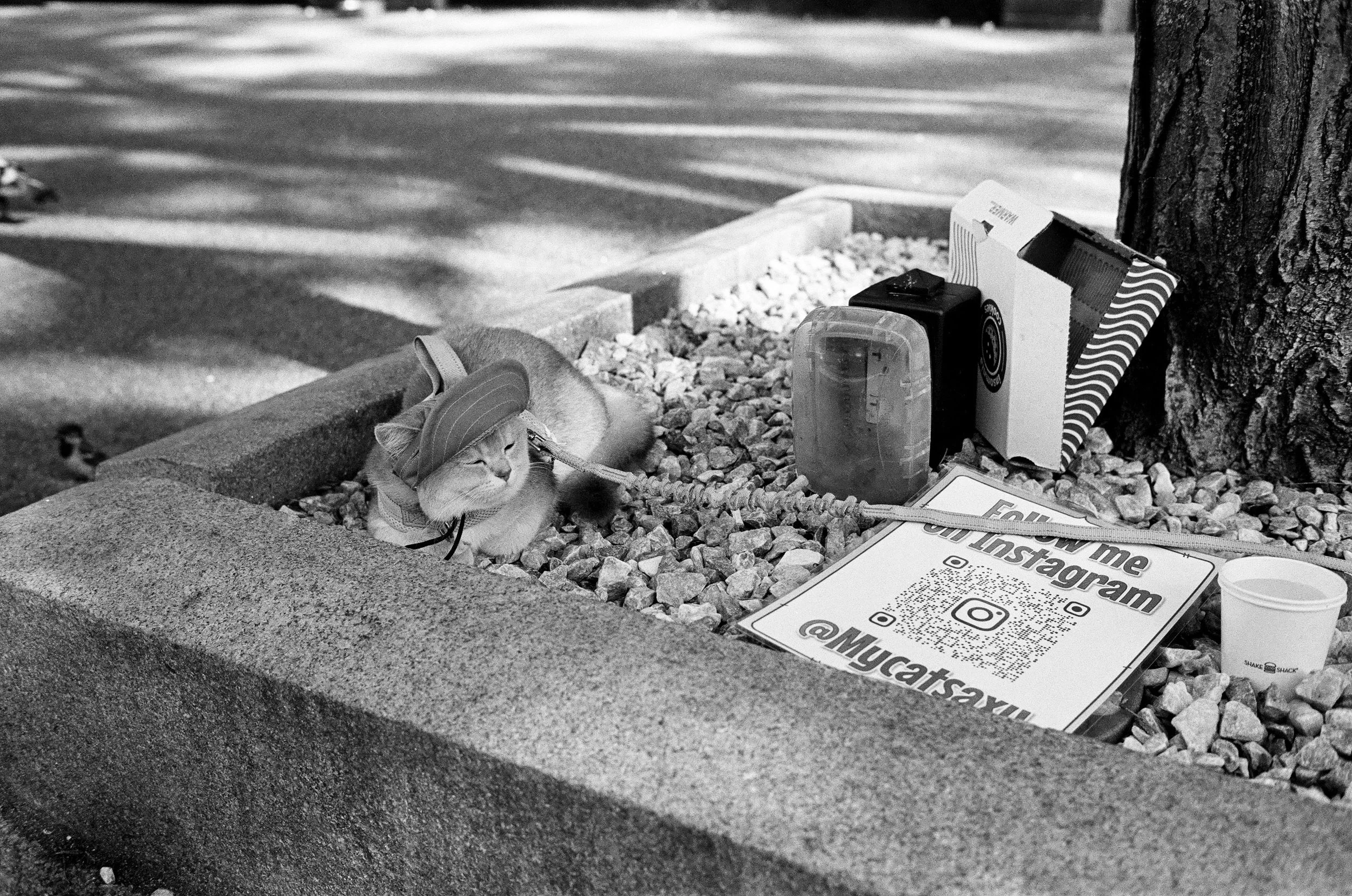 self.portrait (12 of 19).JPG