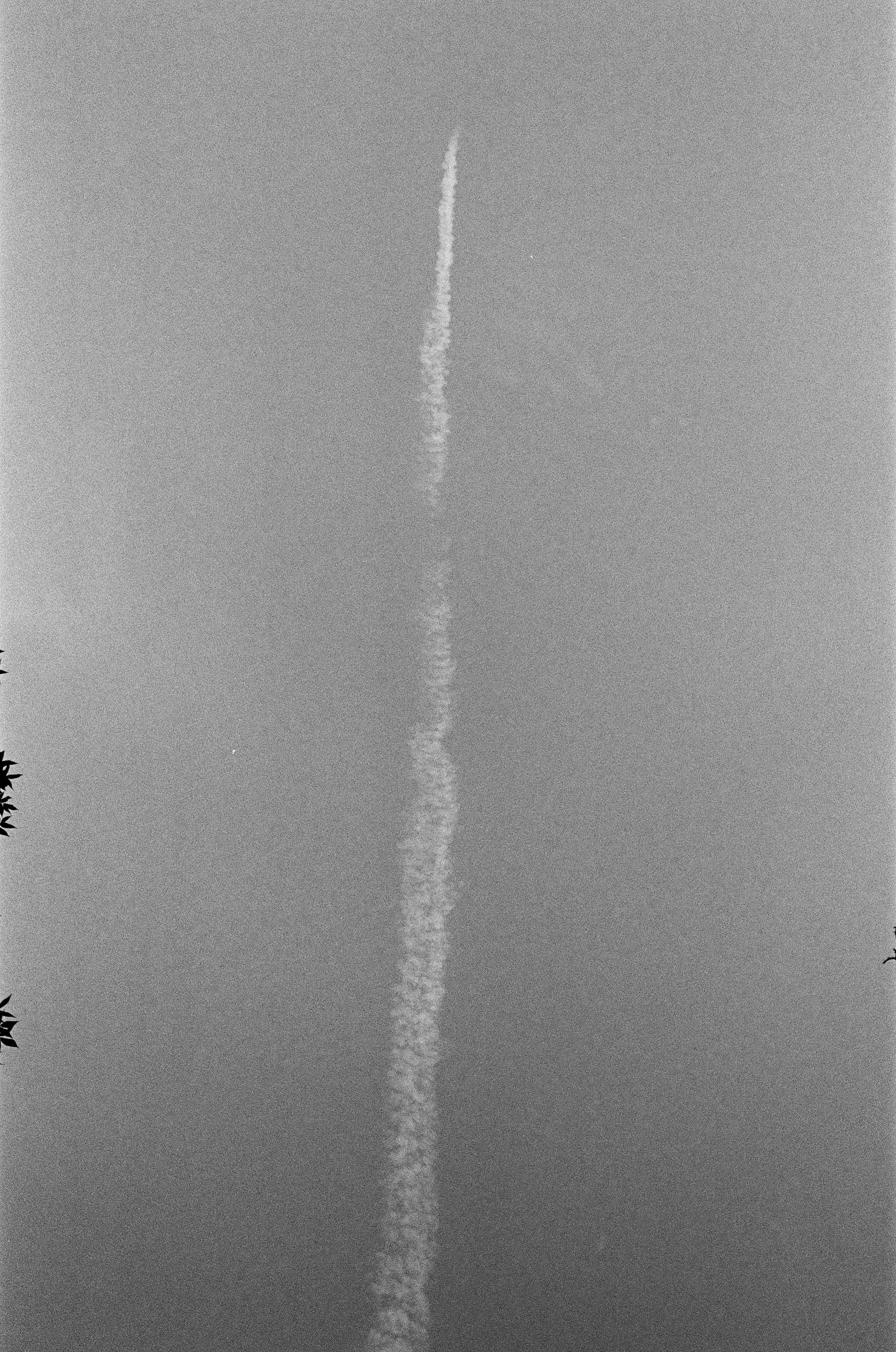 self.portrait (18 of 20).JPG