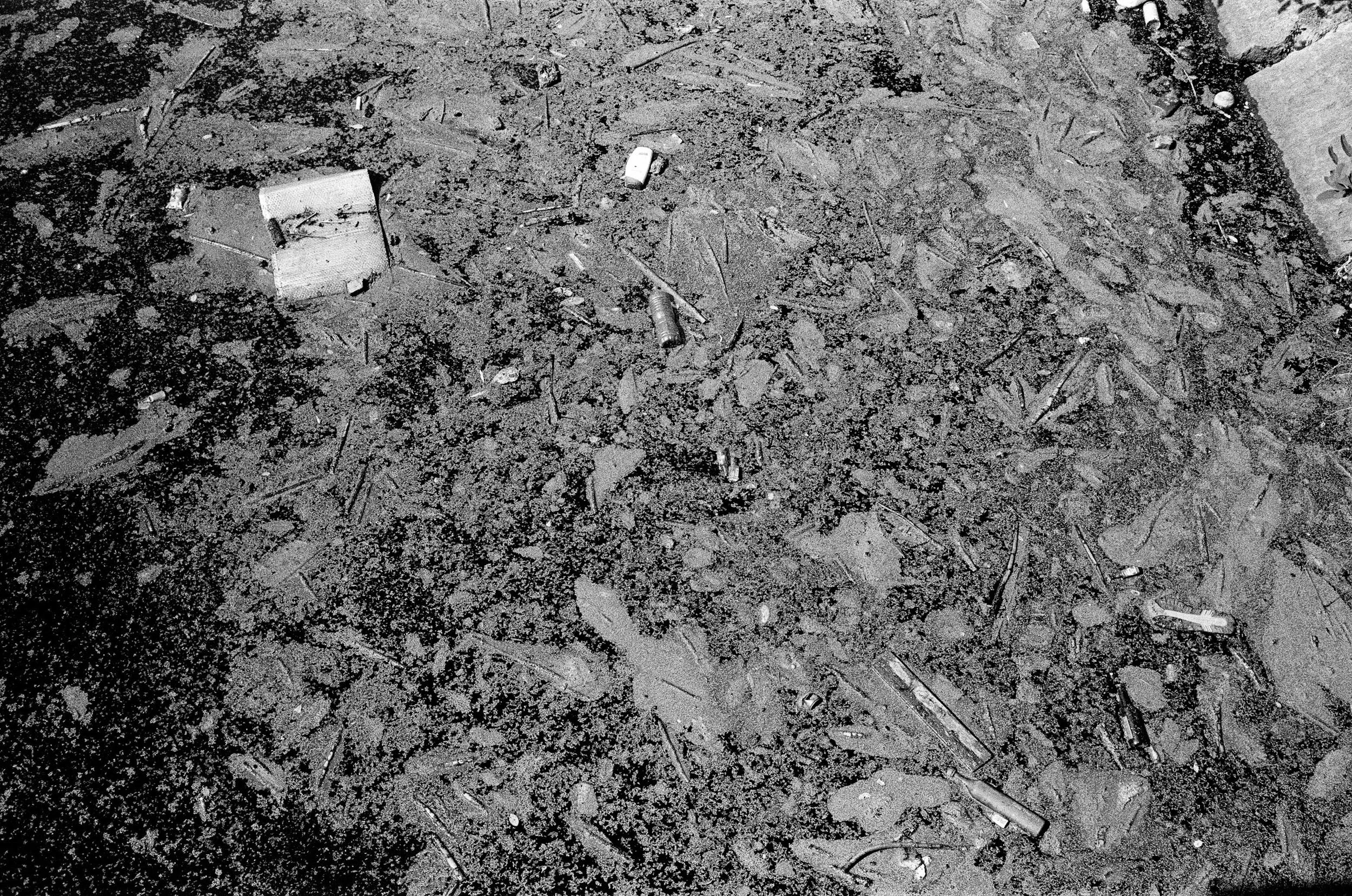 self.portrait (10 of 17).JPG