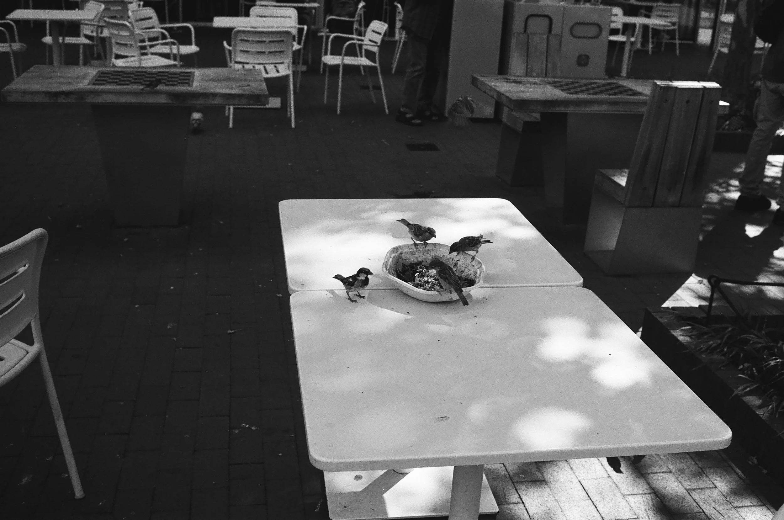 self.portrait (9 of 18).JPG