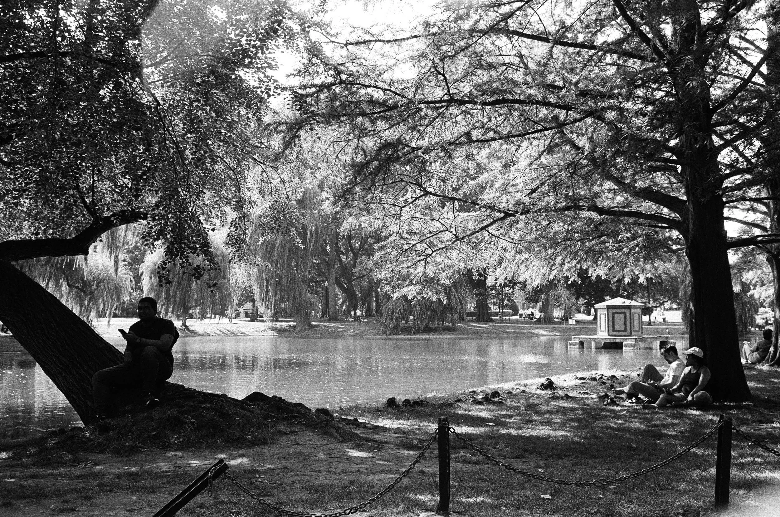 self.portrait (11 of 15).JPG