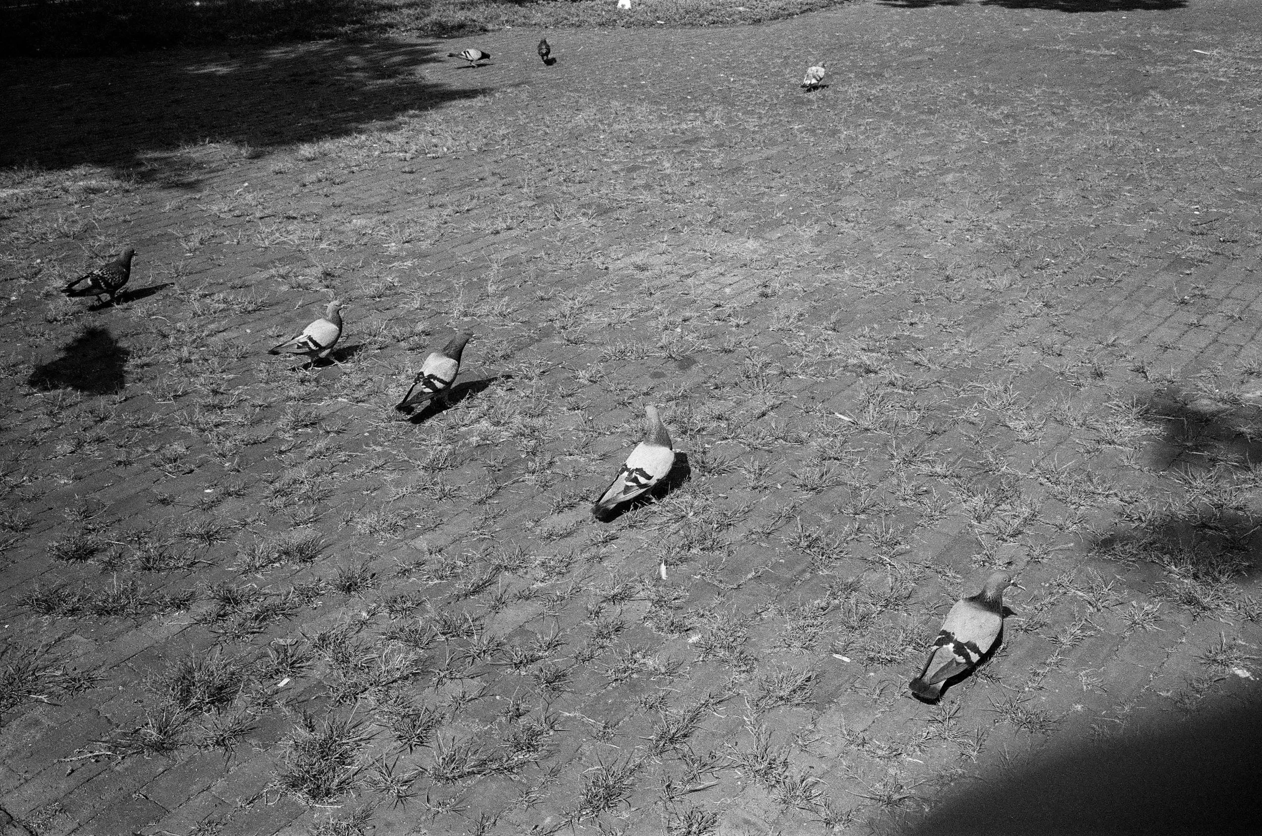 self.portrait (12 of 17).JPG