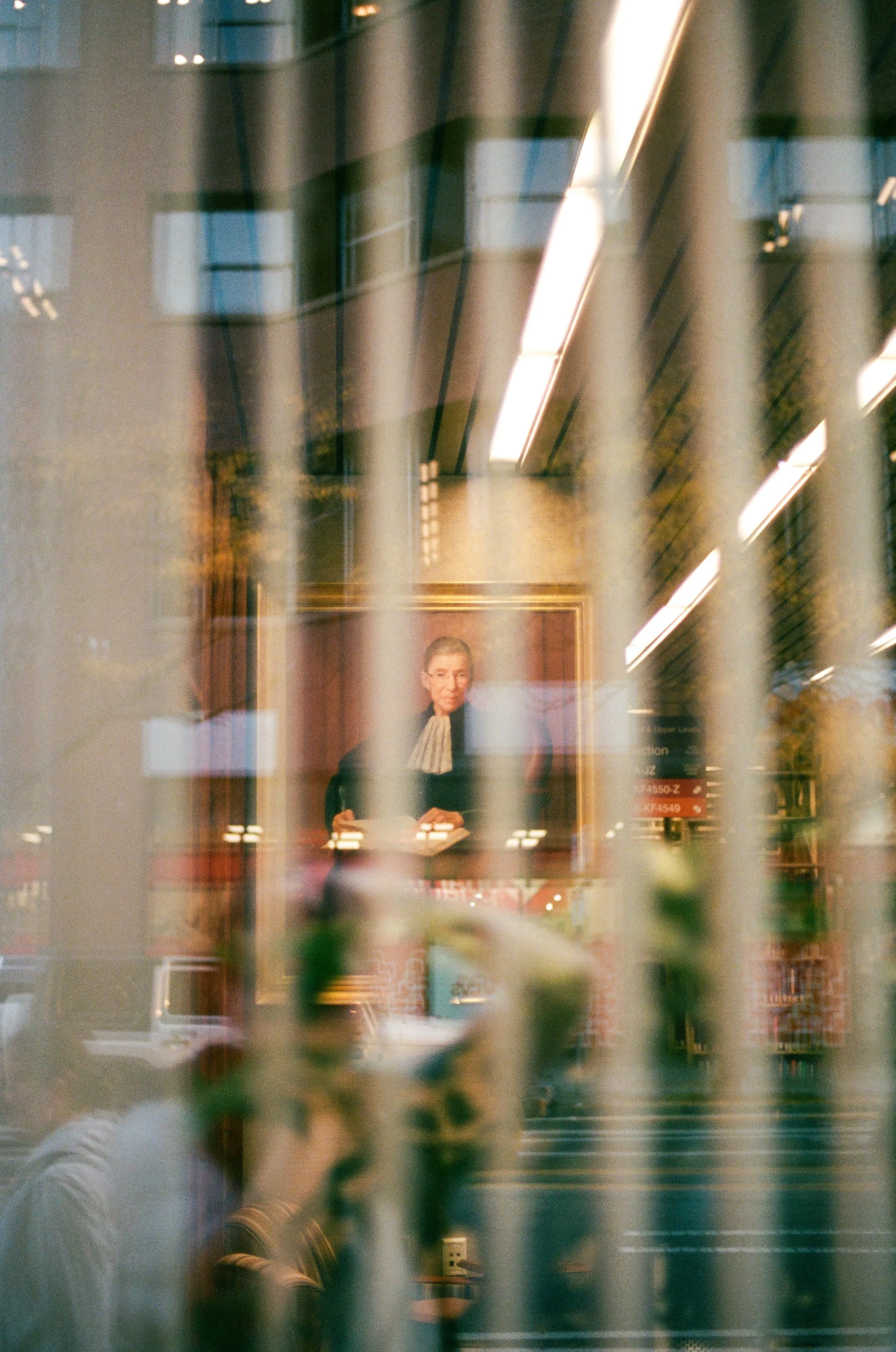 A framed portrait of a woman in formal attire, hanging on a wall inside a building, viewed through window blinds.