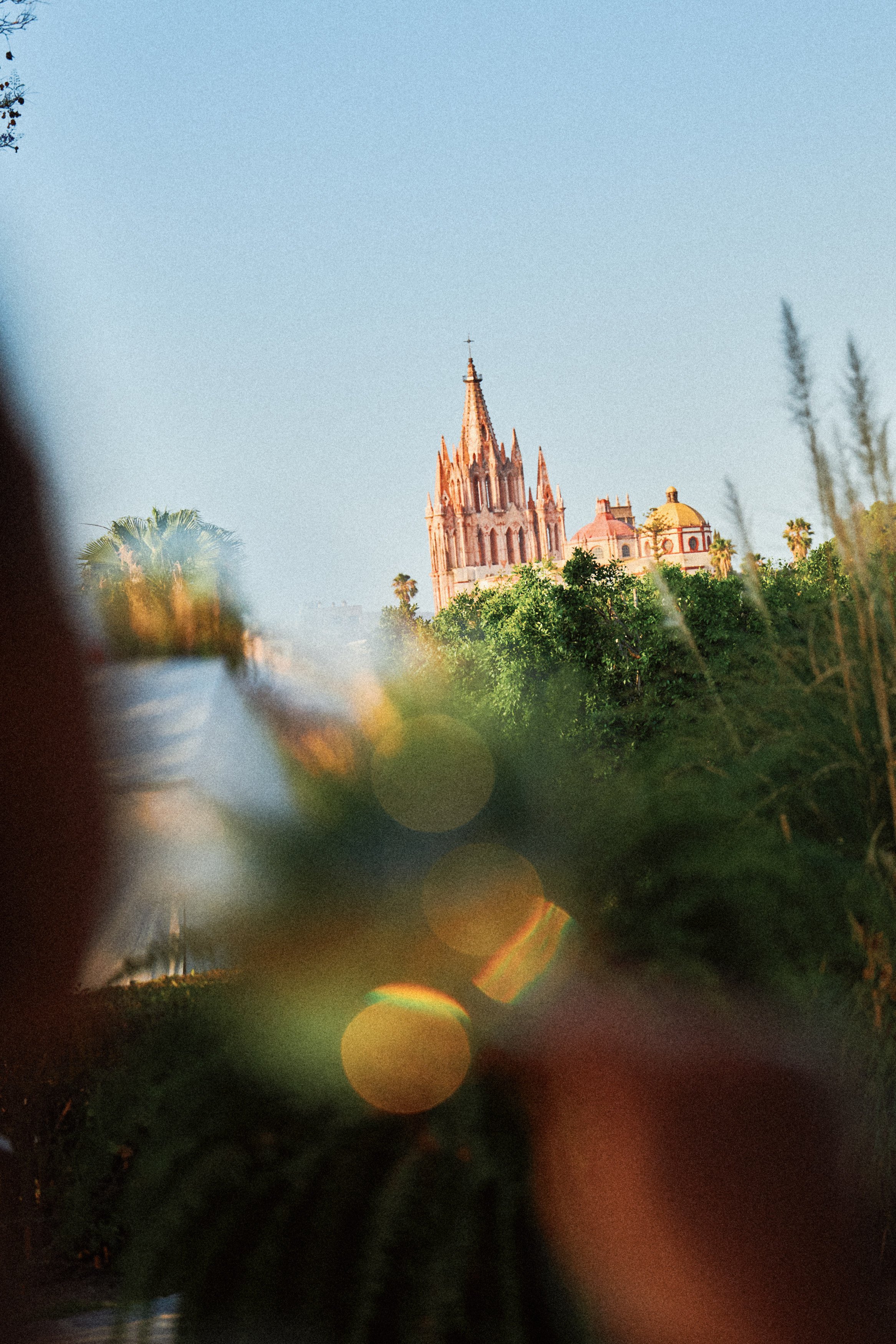 View of a pink Gothic-style church tower with a cross on top, framed by greenery and blurry foreground elements, under a clear blue sky.