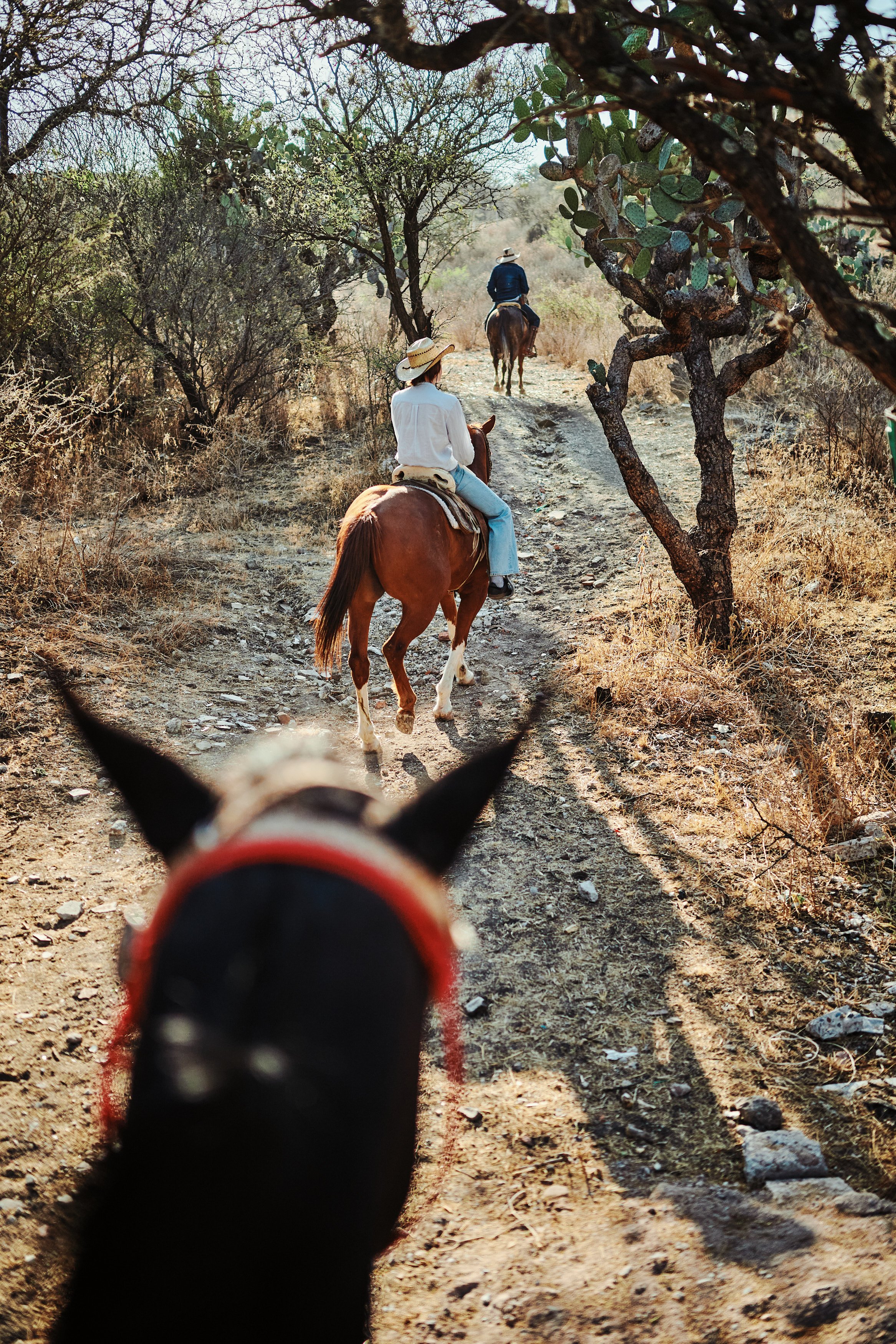 View from a horse's perspective showing two people riding horses on a dirt trail through a dry, wooded landscape, with one person in front and another in the distance.