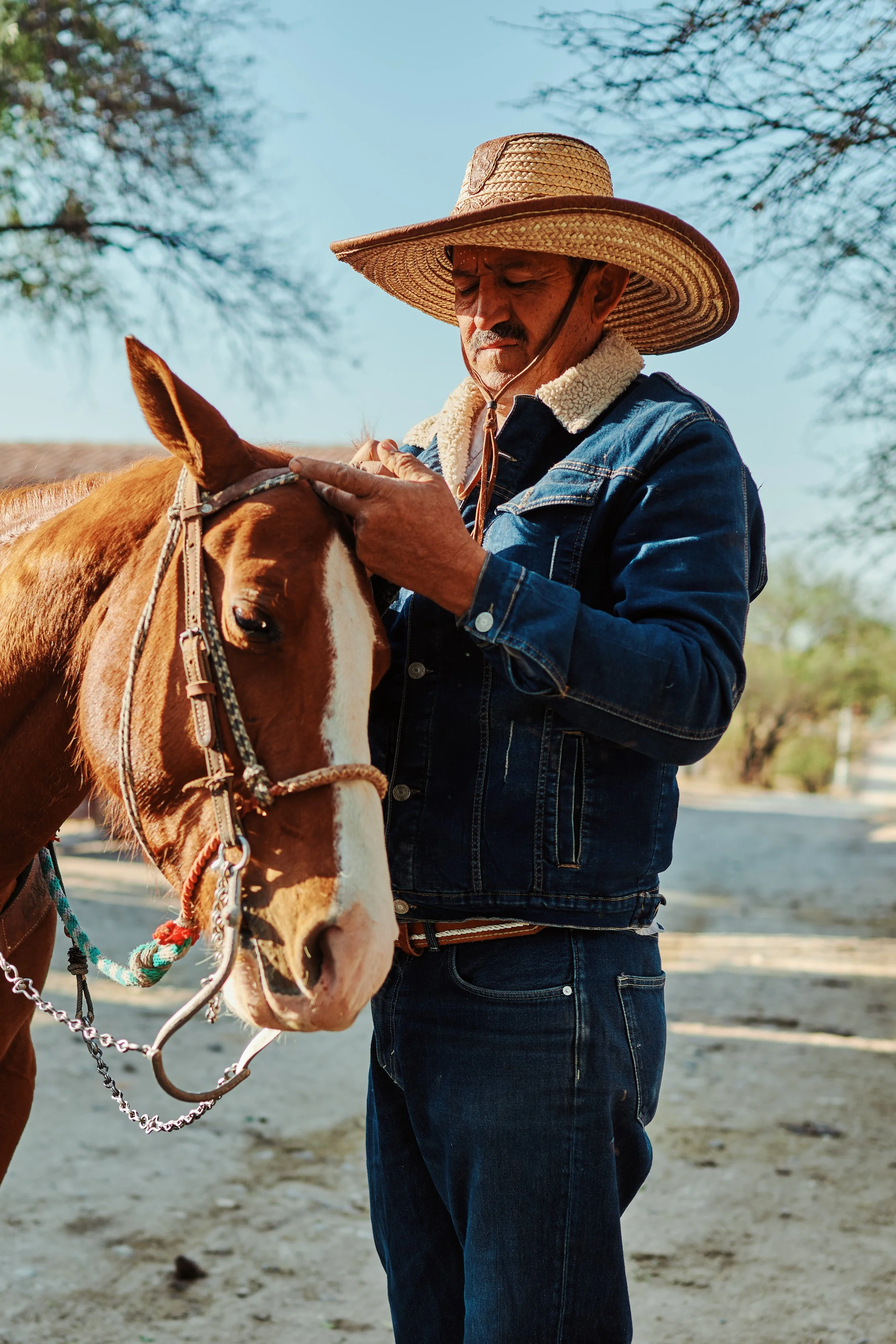 A man wearing a large straw hat and denim jacket gently petting a brown and white horse outdoors on a sunny day.