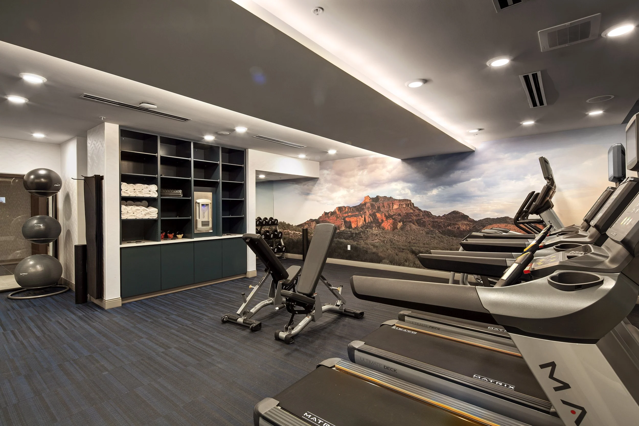 Fitness room with treadmills facing a wall mural of a mountain landscape, and gym equipment including weights, a bench, and exercise balls.