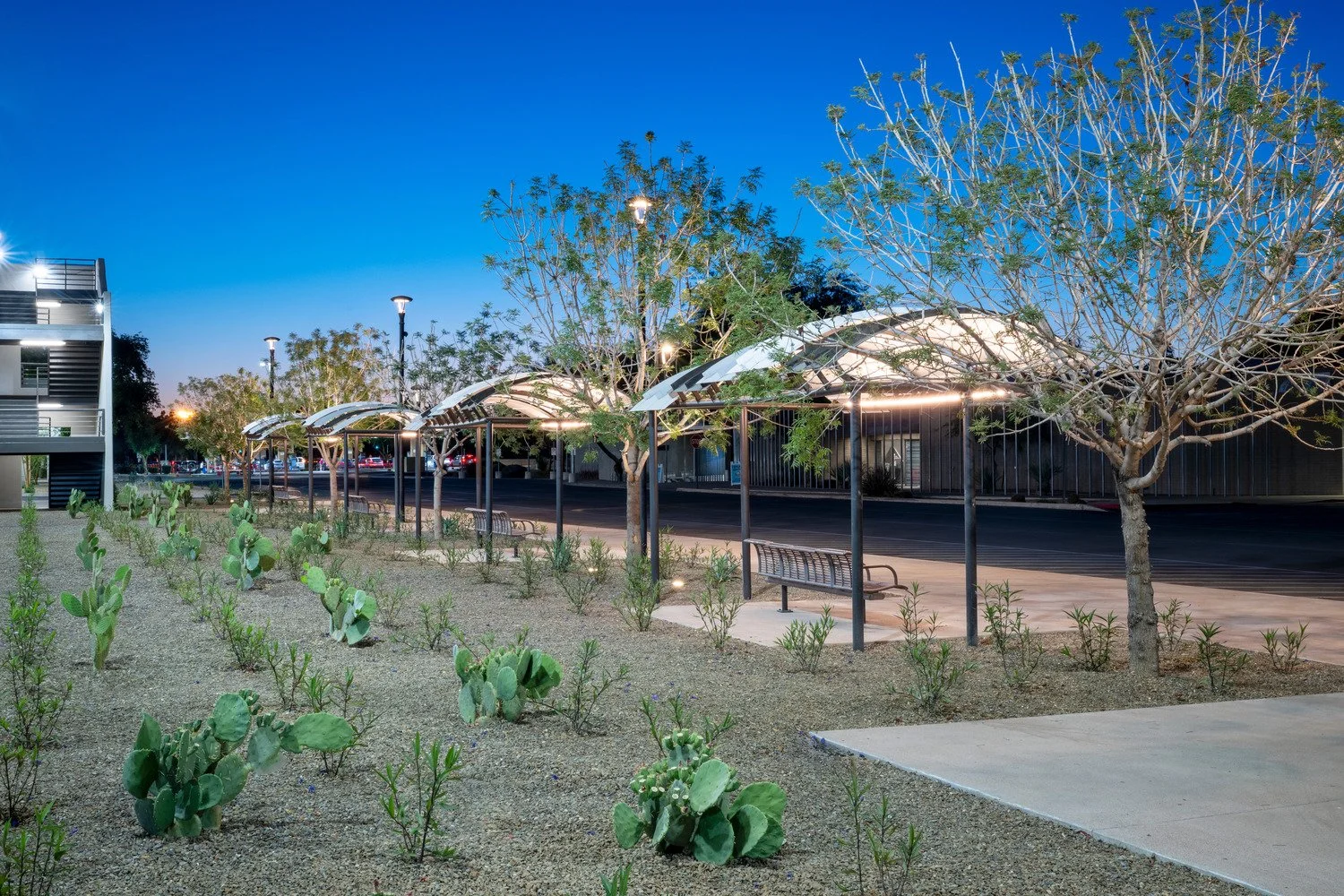 A modern outdoor bus stop with benches, trees, and small bushes in a landscaped area under a darkening blue sky.