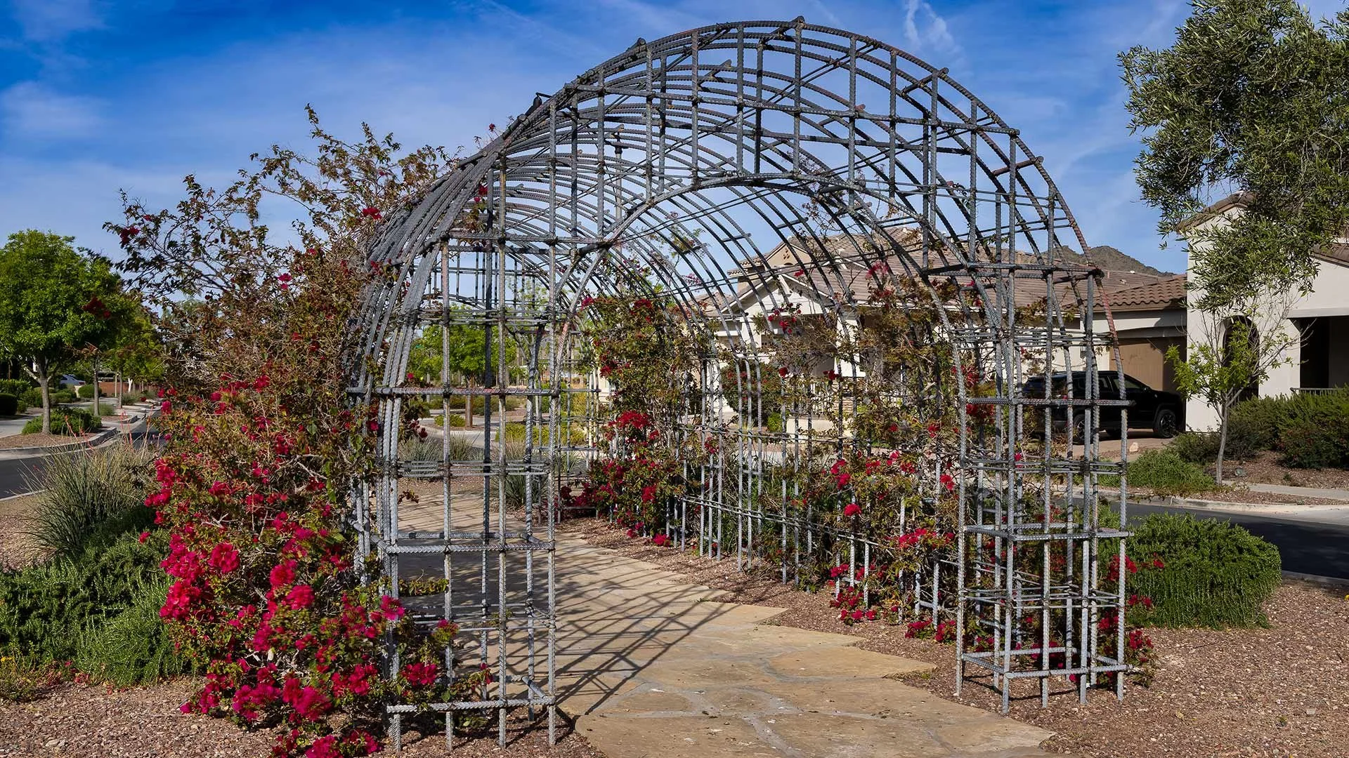 Metal garden archway surrounded by pink and red flowering bushes in a suburban neighborhood.