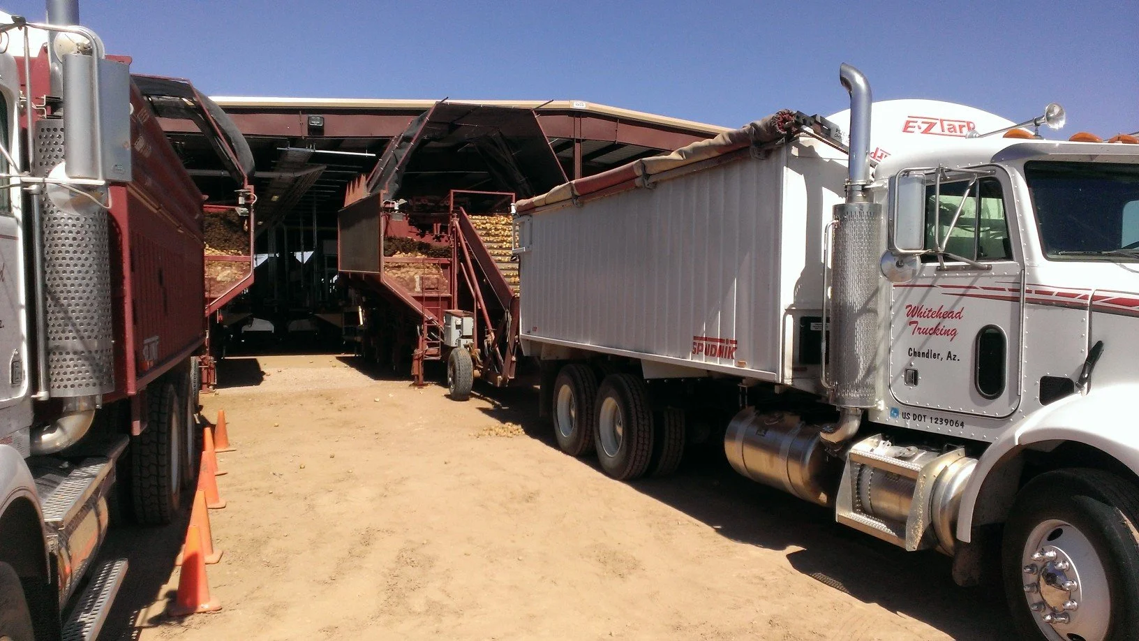 A large white truck with red and black accents parked next to a red harvesting machine under a clear blue sky.