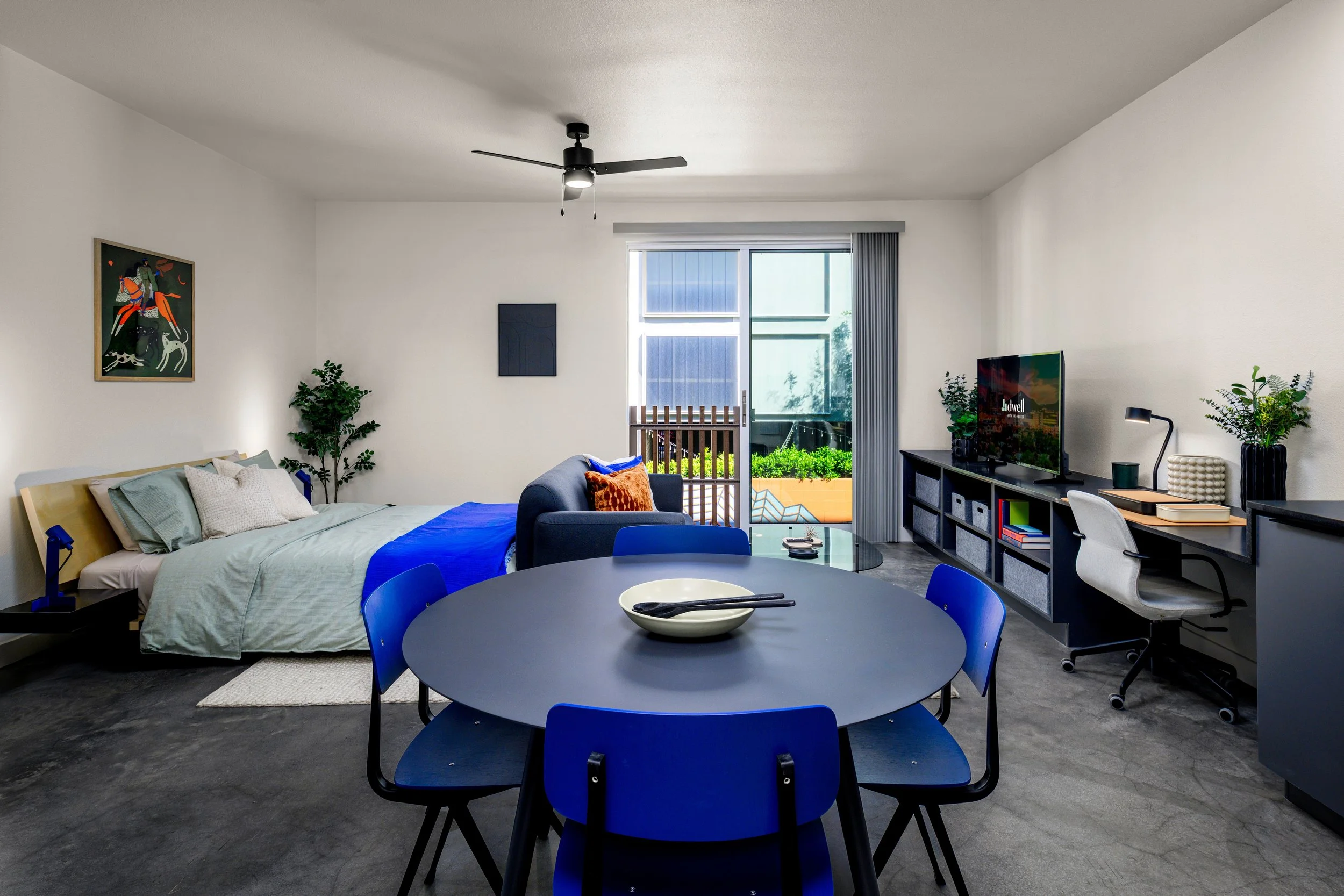 Modern apartment living room with bed, dining table, chairs, TV, and desk, featuring minimal decor and plants.