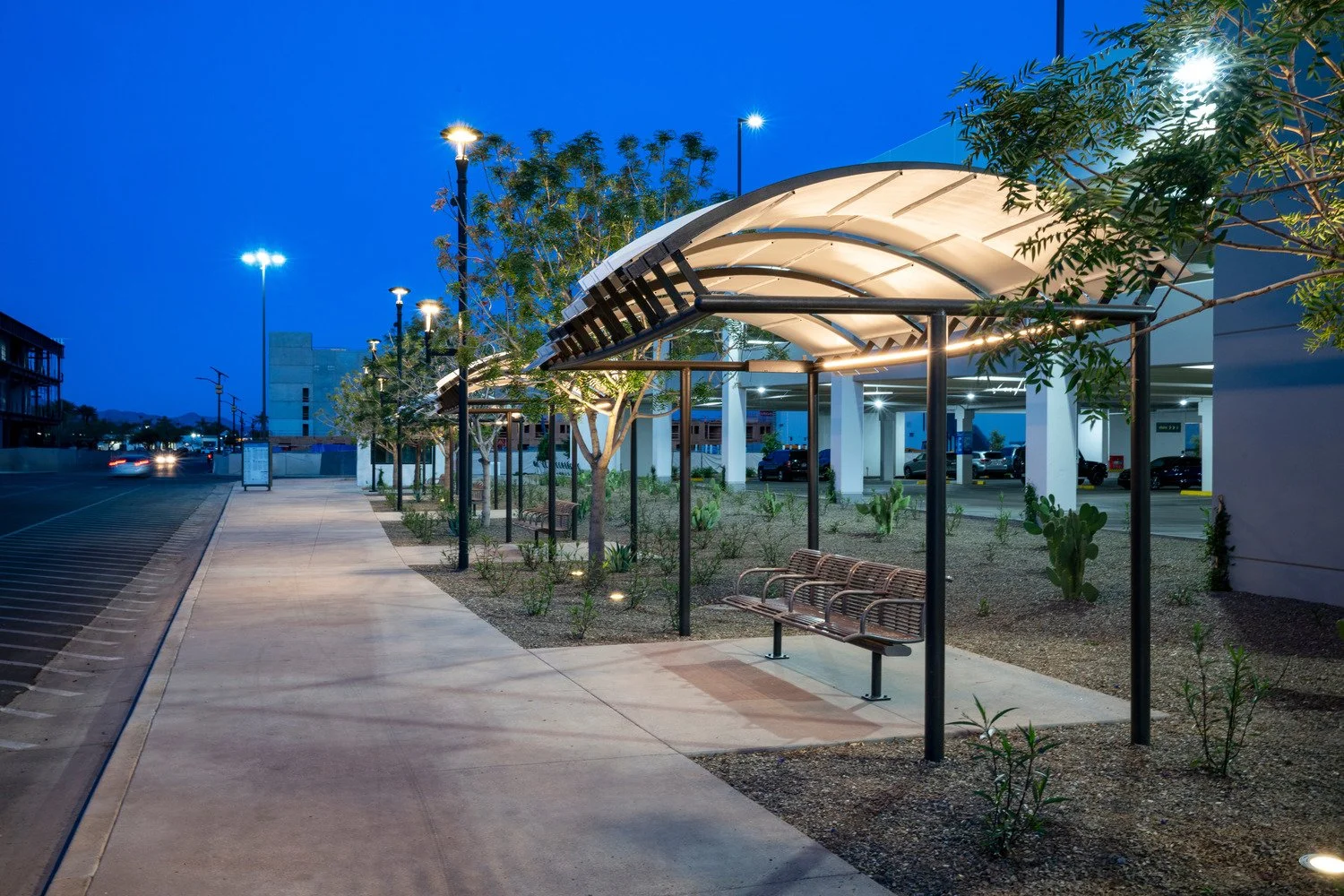 Empty bus stop shelter with benches, trees, streetlights, and parked cars at dusk.