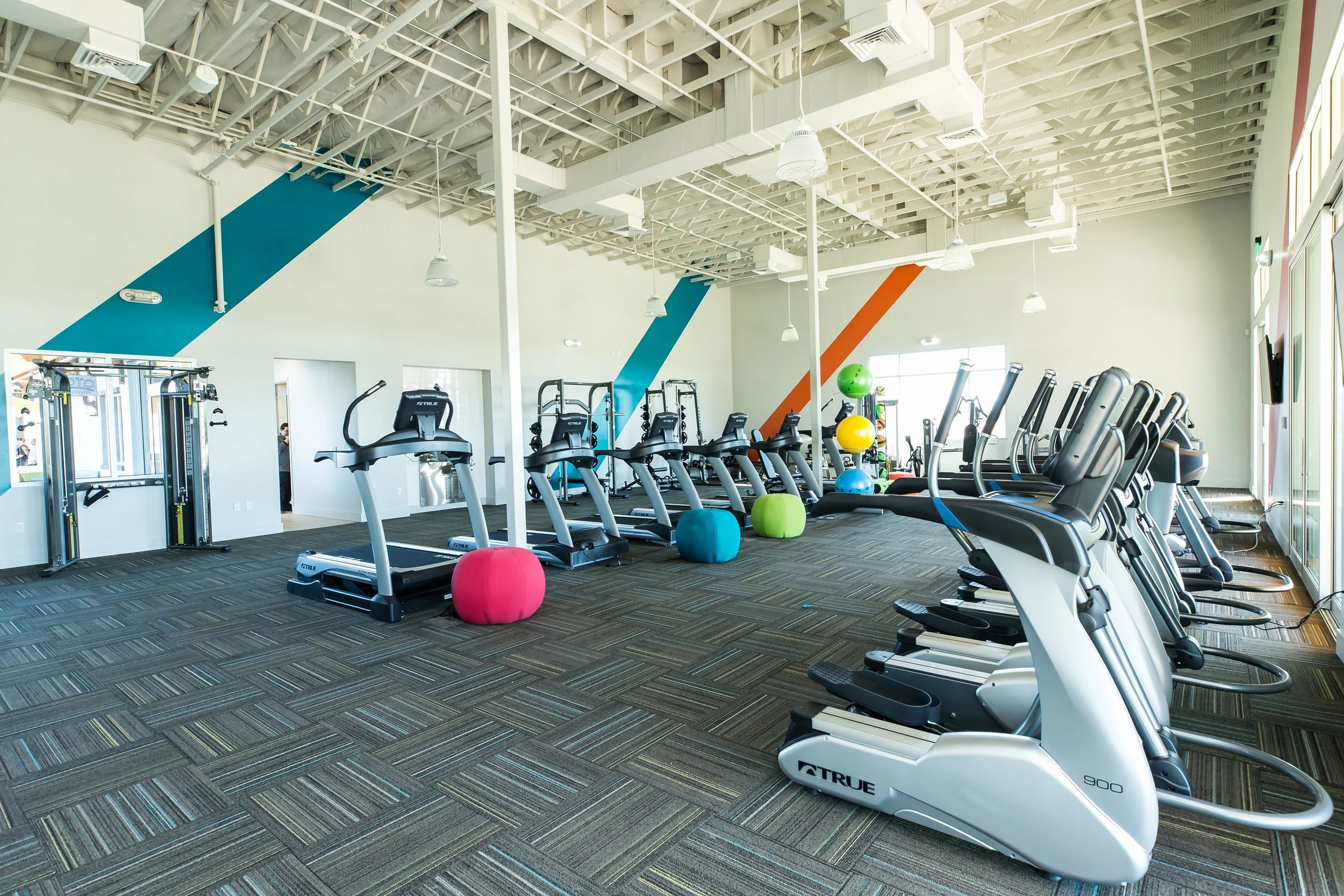 Empty gym with treadmills, elliptical machines, and exercise balls in a bright workout space.