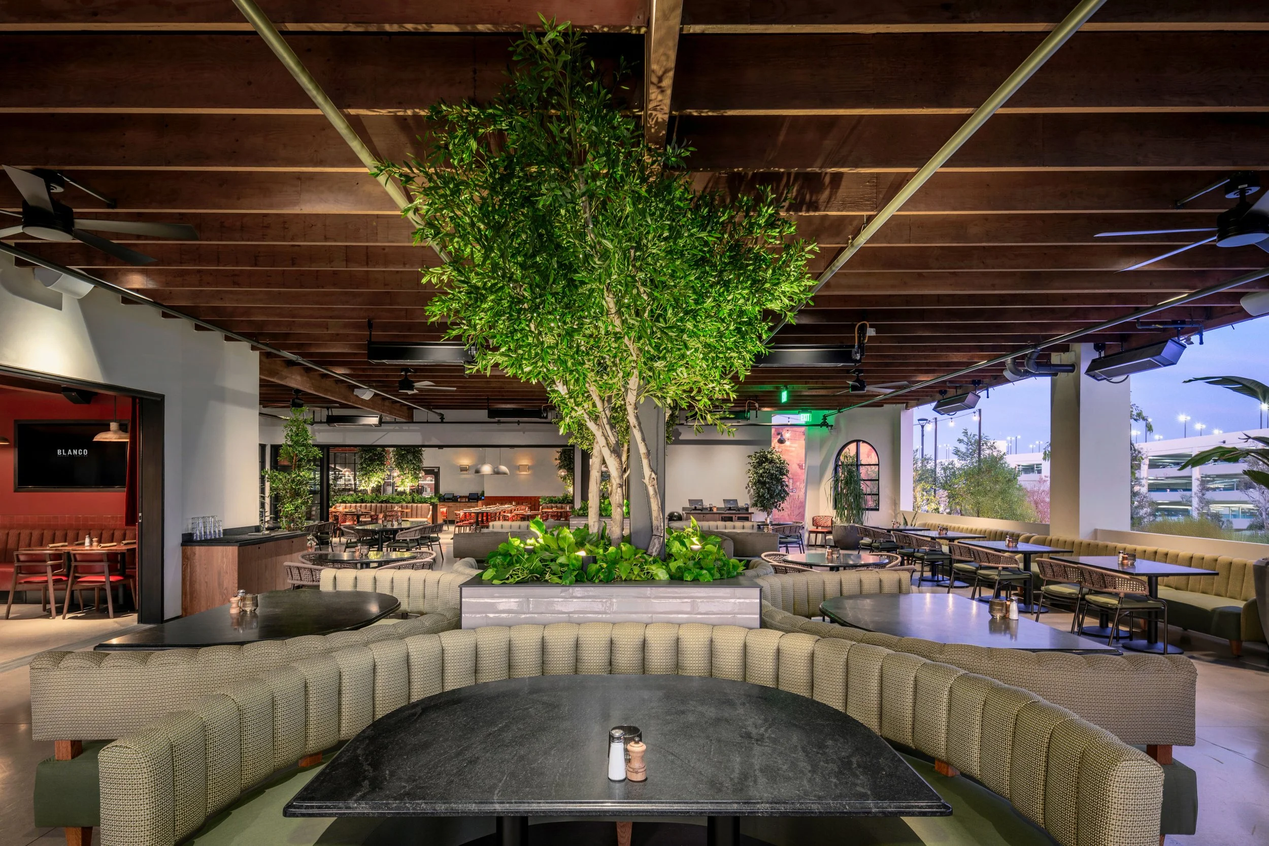 Interior of a modern restaurant with a large indoor tree, surrounded by curved seating, tables, and hanging plants, with large windows showing an outdoor parking area.