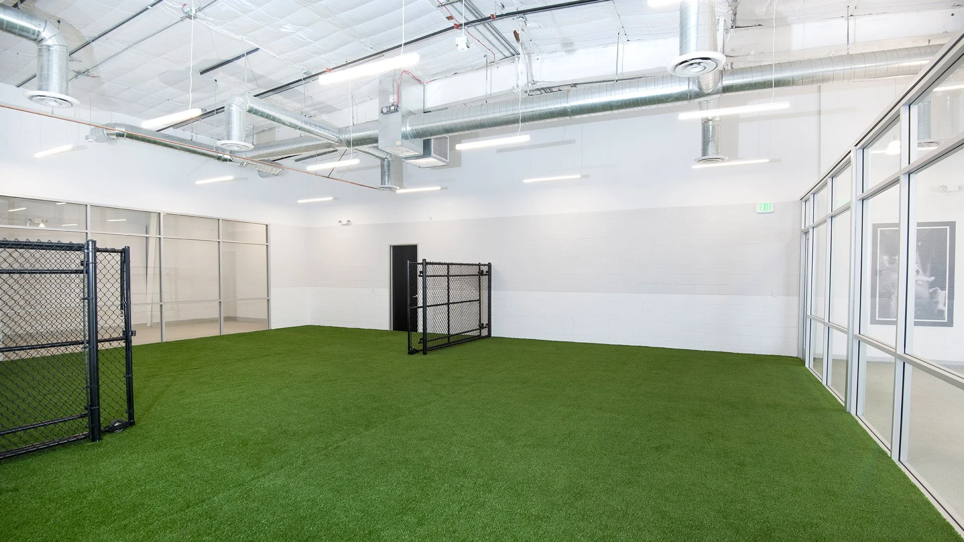 An indoor dog kennel with artificial grass flooring, fenced enclosures, and large glass windows.