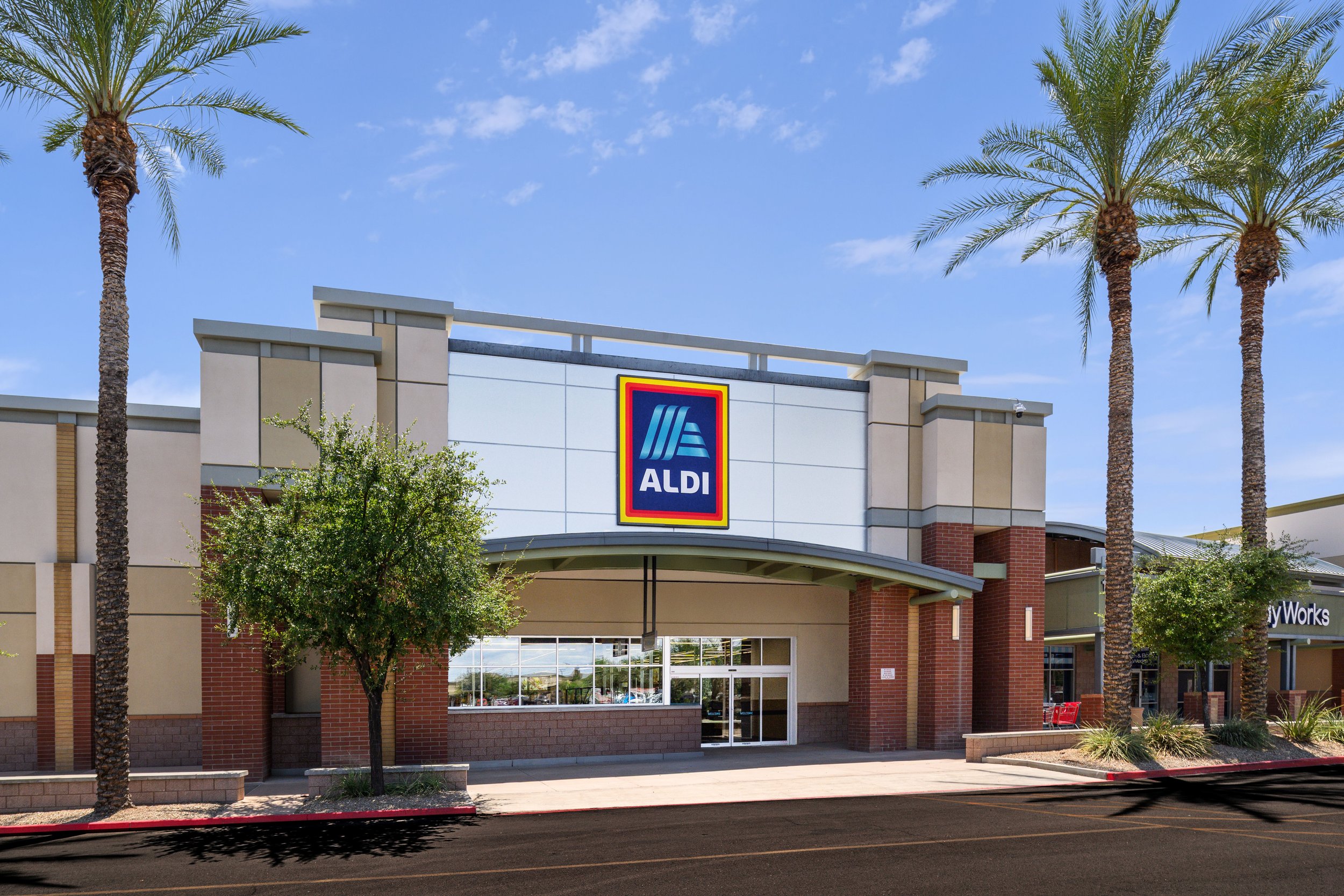 Exterior of an ALDI grocery store with palm trees, a clear blue sky, and a tree near the entrance.
