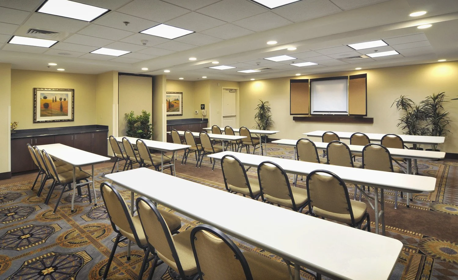 Empty conference room with rows of beige chairs and white tables, a TV screen with a projector, potted plants, framed landscape artwork, and carpeted floor with geometric patterns.