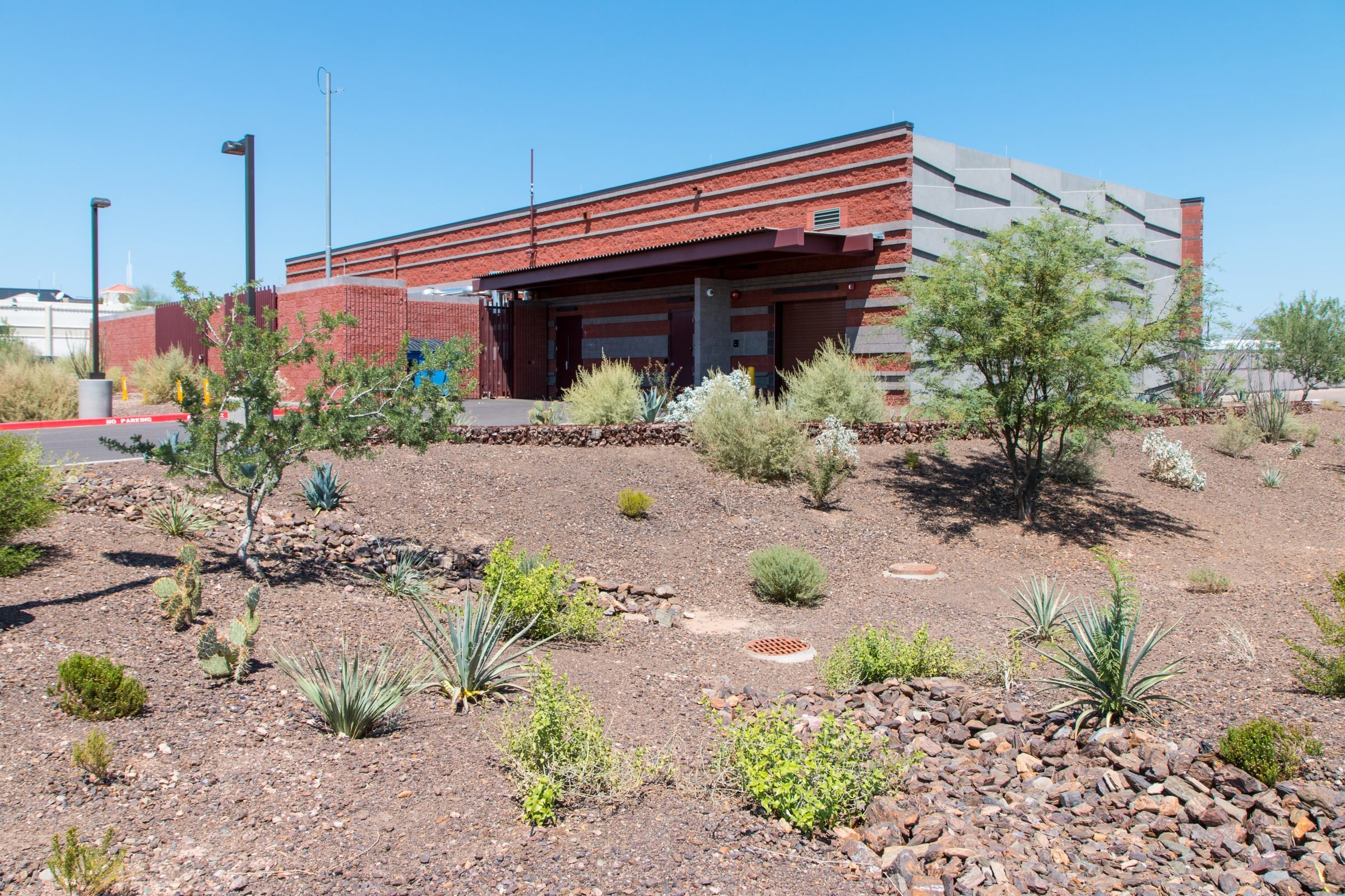 Desert landscaping with various drought-resistant plants in front of a modern red brick and concrete building under a clear blue sky.