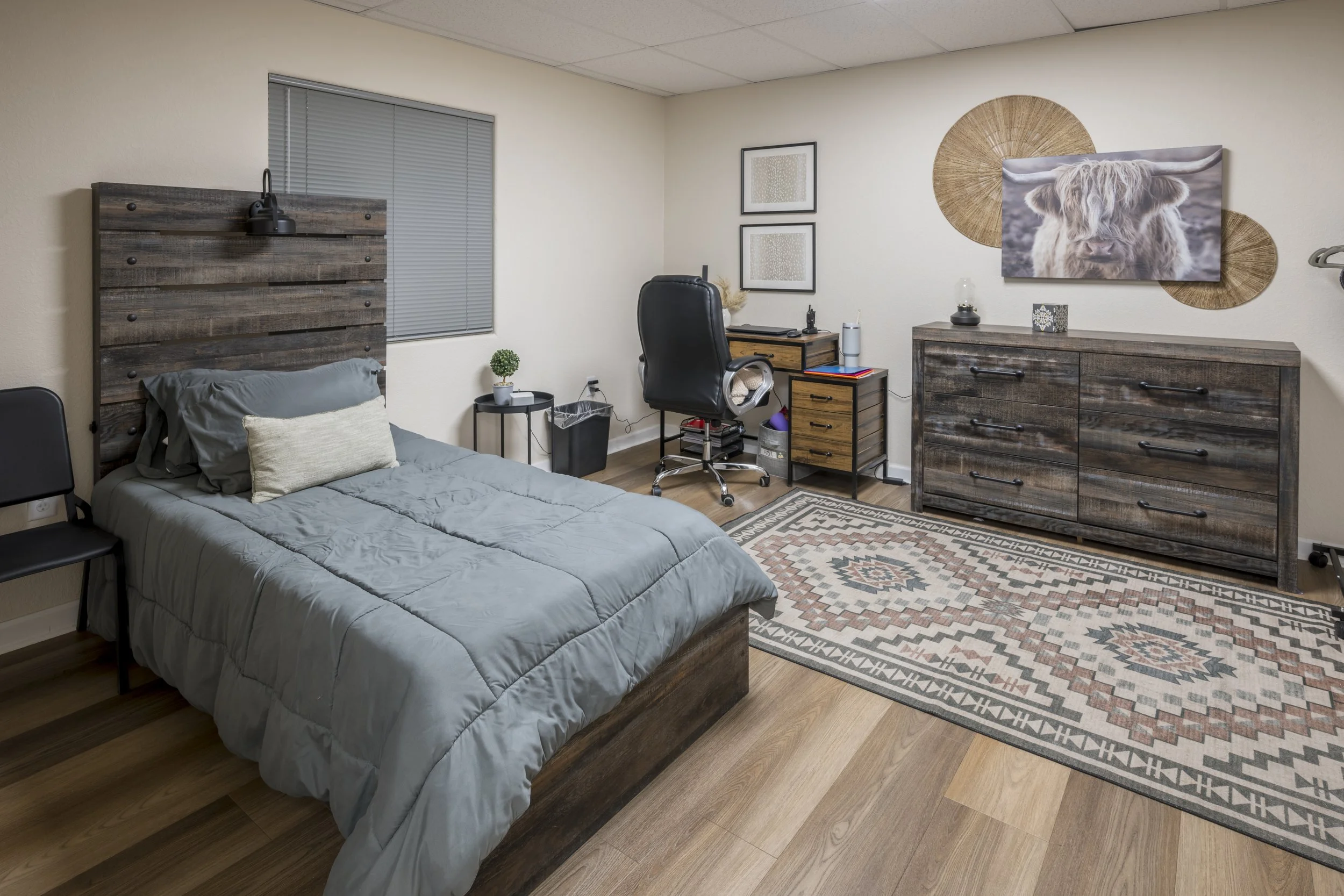 A bedroom with a bed, two chairs, a desk, a dresser, and wall art, including a picture of a Highland cow and circular woven decorations.