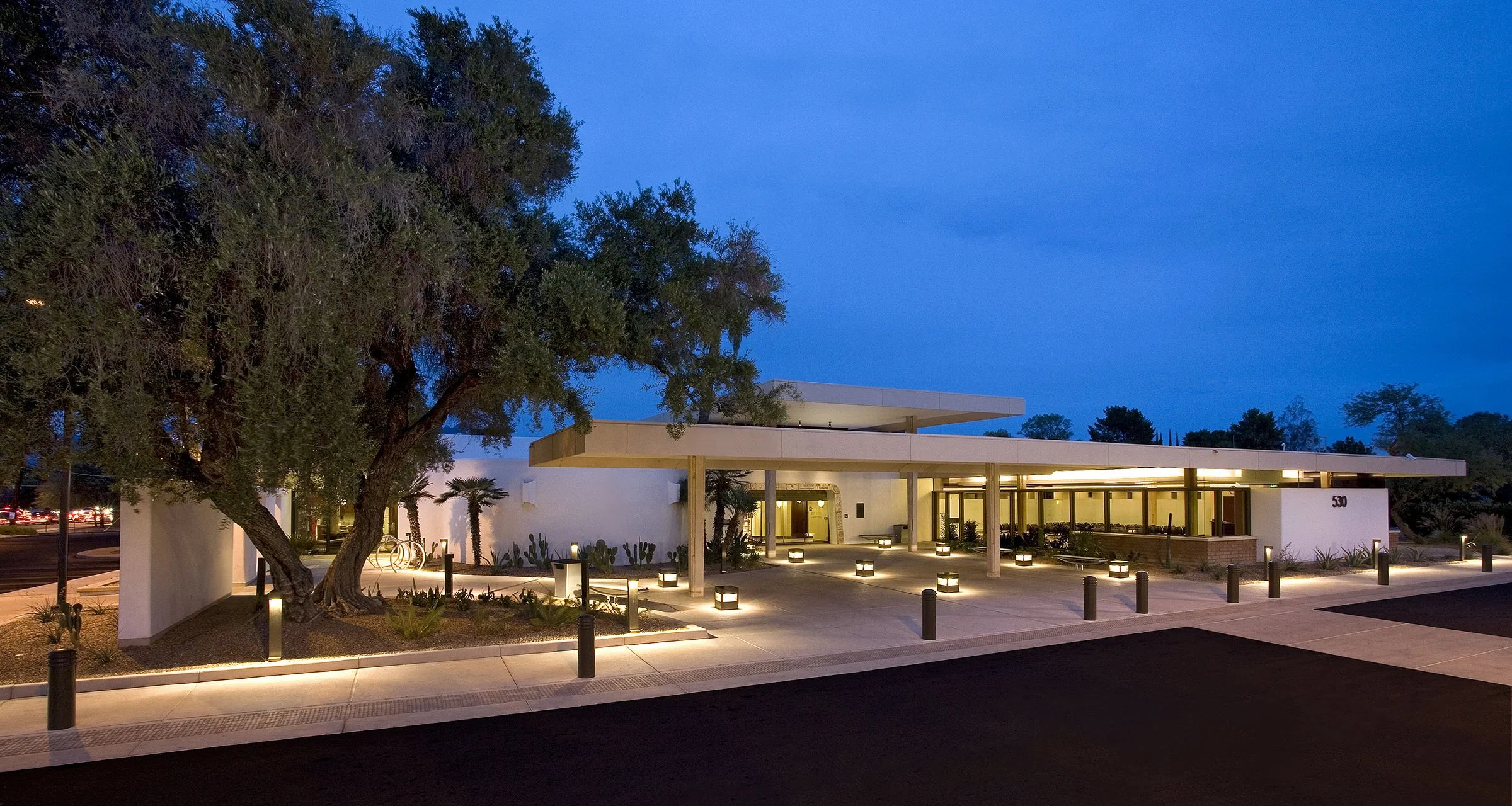 Modern building illuminated at night with a large tree in front, surrounded by landscaped plants and pathway lighting.
