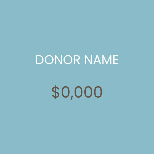 DONOR NAME.png