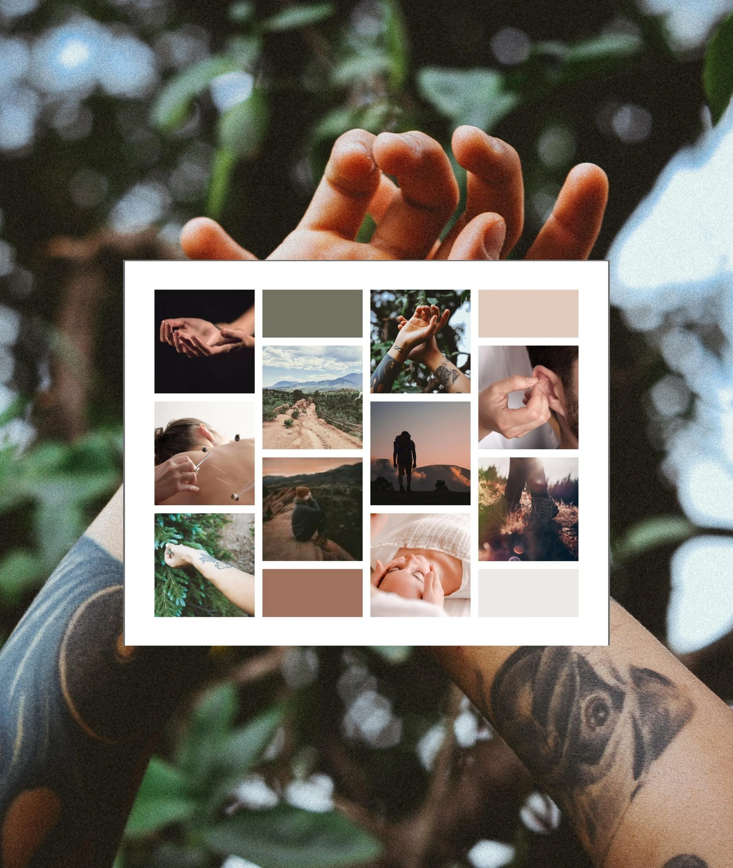 Portfolio Images.jpg