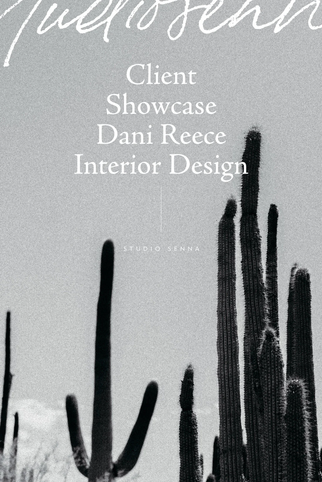 Client Showcase Dani Reece Interior Design