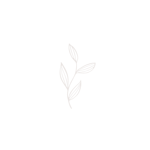 Illustration simple d'une branche avec plusieurs feuilles blanches sur fond noir.