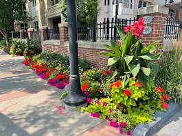 Flower bed with pink, red, yellow, and purple flowers along a sidewalk, next to a black lamppost and a brick building.