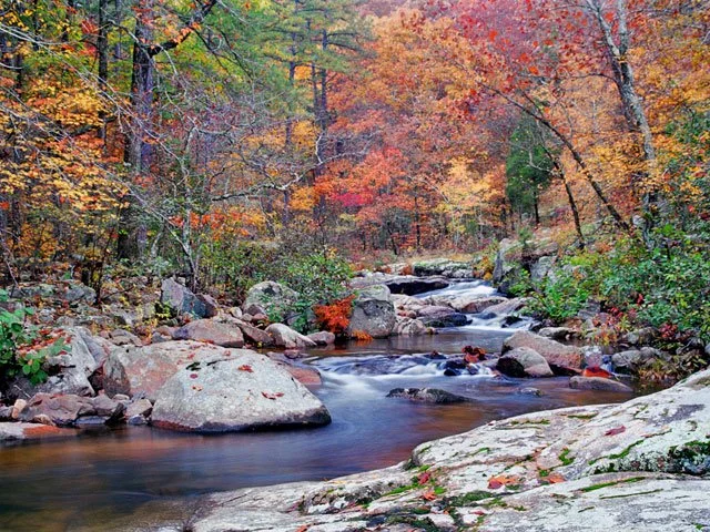 A peaceful mountain stream flowing over rocks surrounded by trees with colorful fall foliage in shades of orange, red, and yellow.