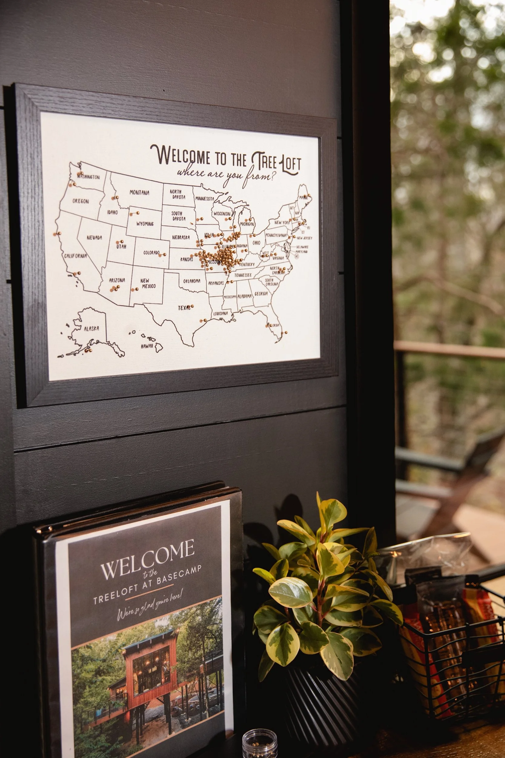 Map of the United States showing the origins of visitors to Tree Loft, with dots marking locations across the country.