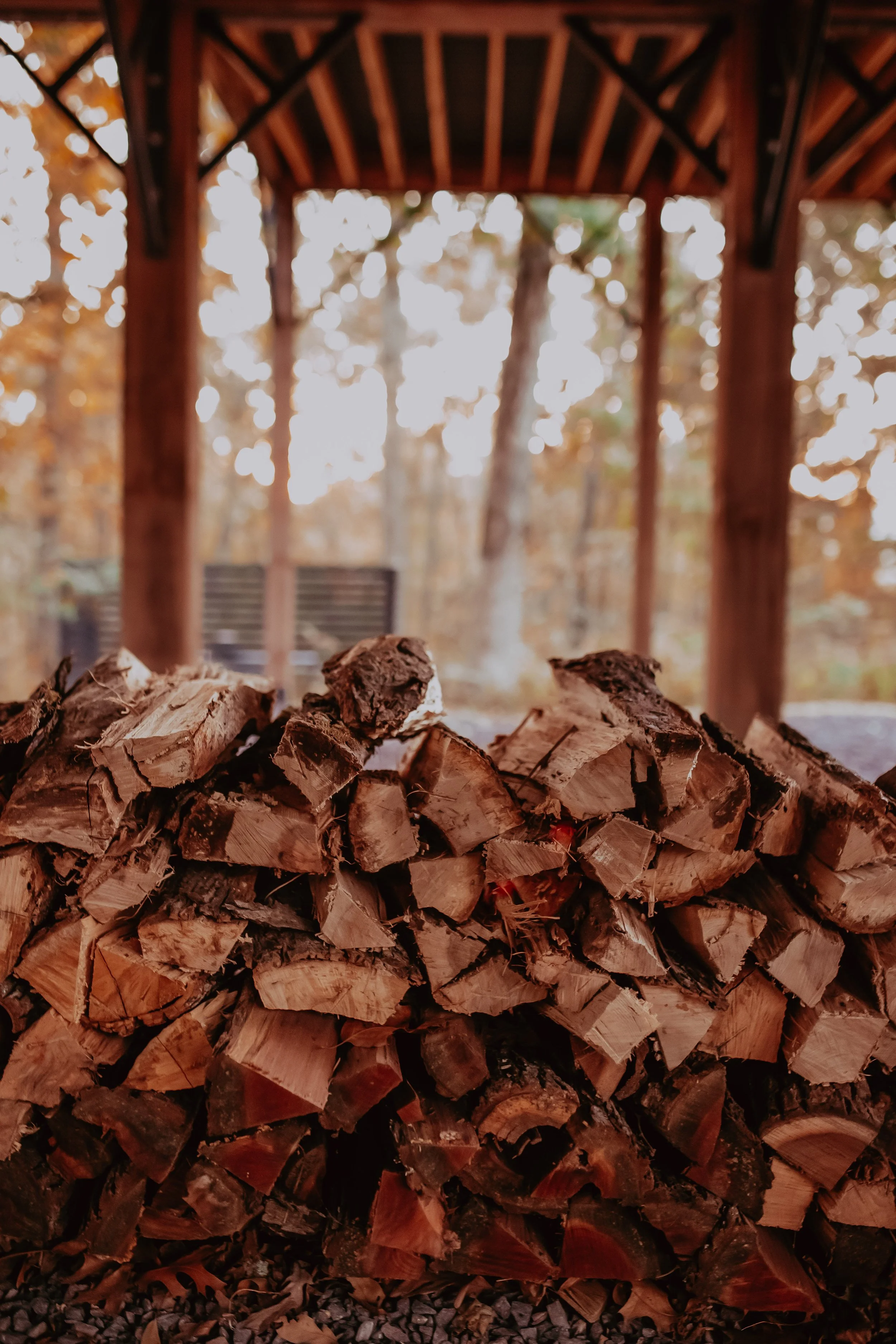 Stacked firewood logs in an outdoor wooden shelter with trees in the background.