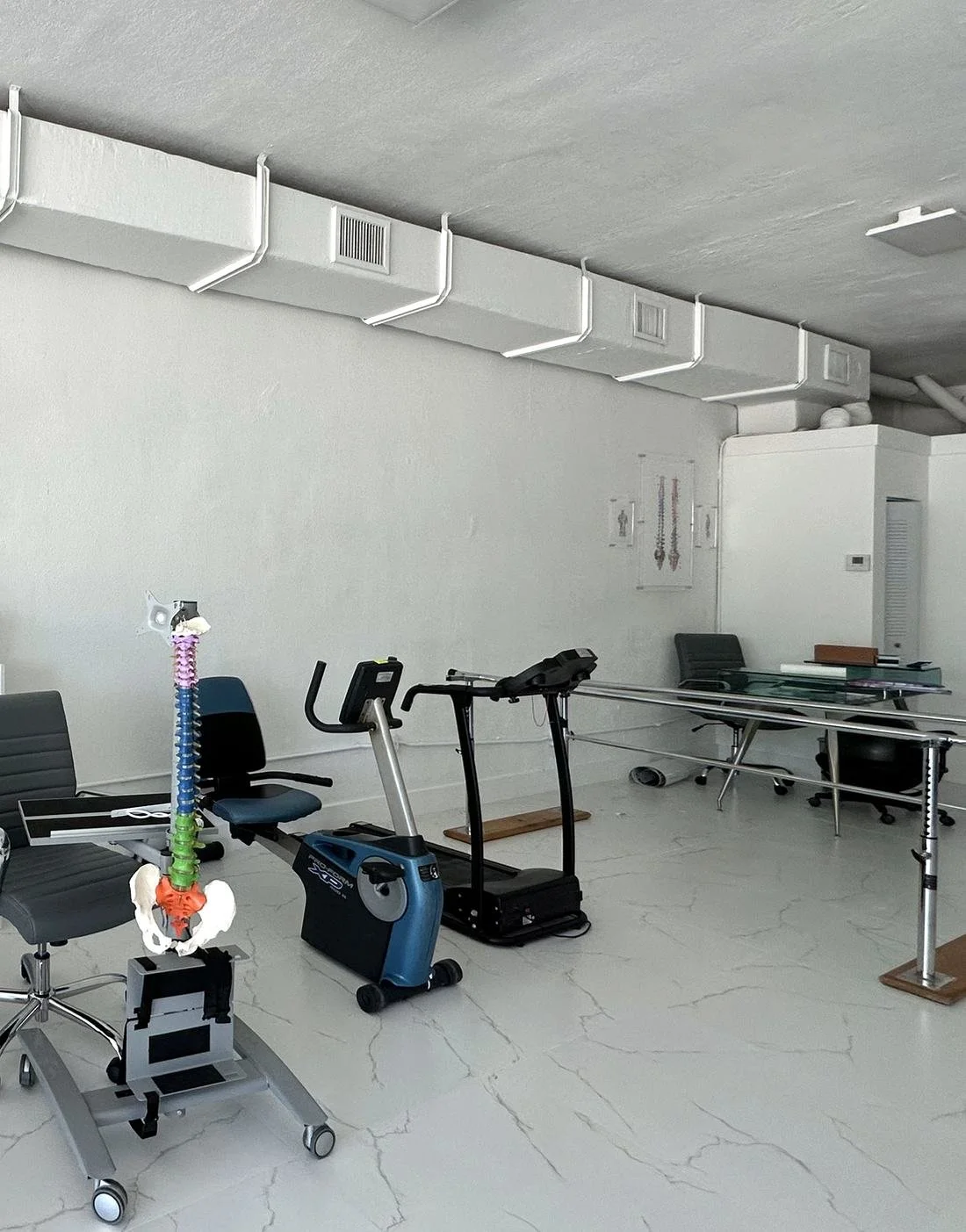 Spine model, exercise bike, treadmill and parallel bars