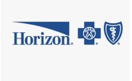 Horizon insurance company logo with a stylized blue wave, a medical cross, and the caduceus symbol.