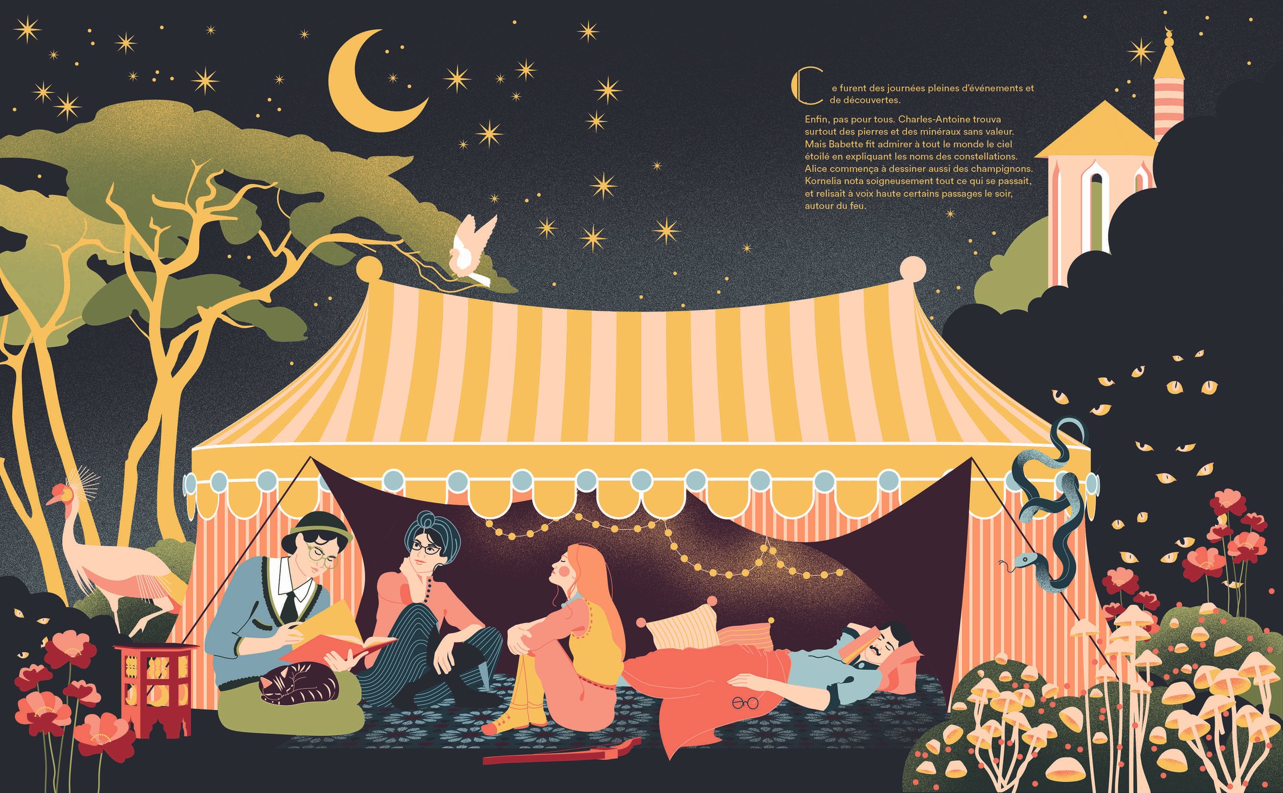 08 Tente nuit 25 03 19.jpg