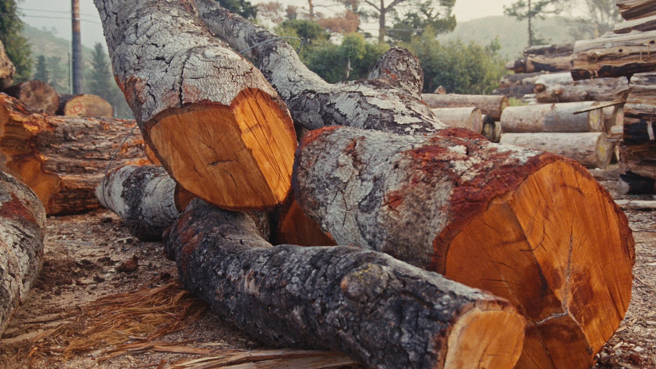 angel_city_lumber-stills_1.16.1.jpg