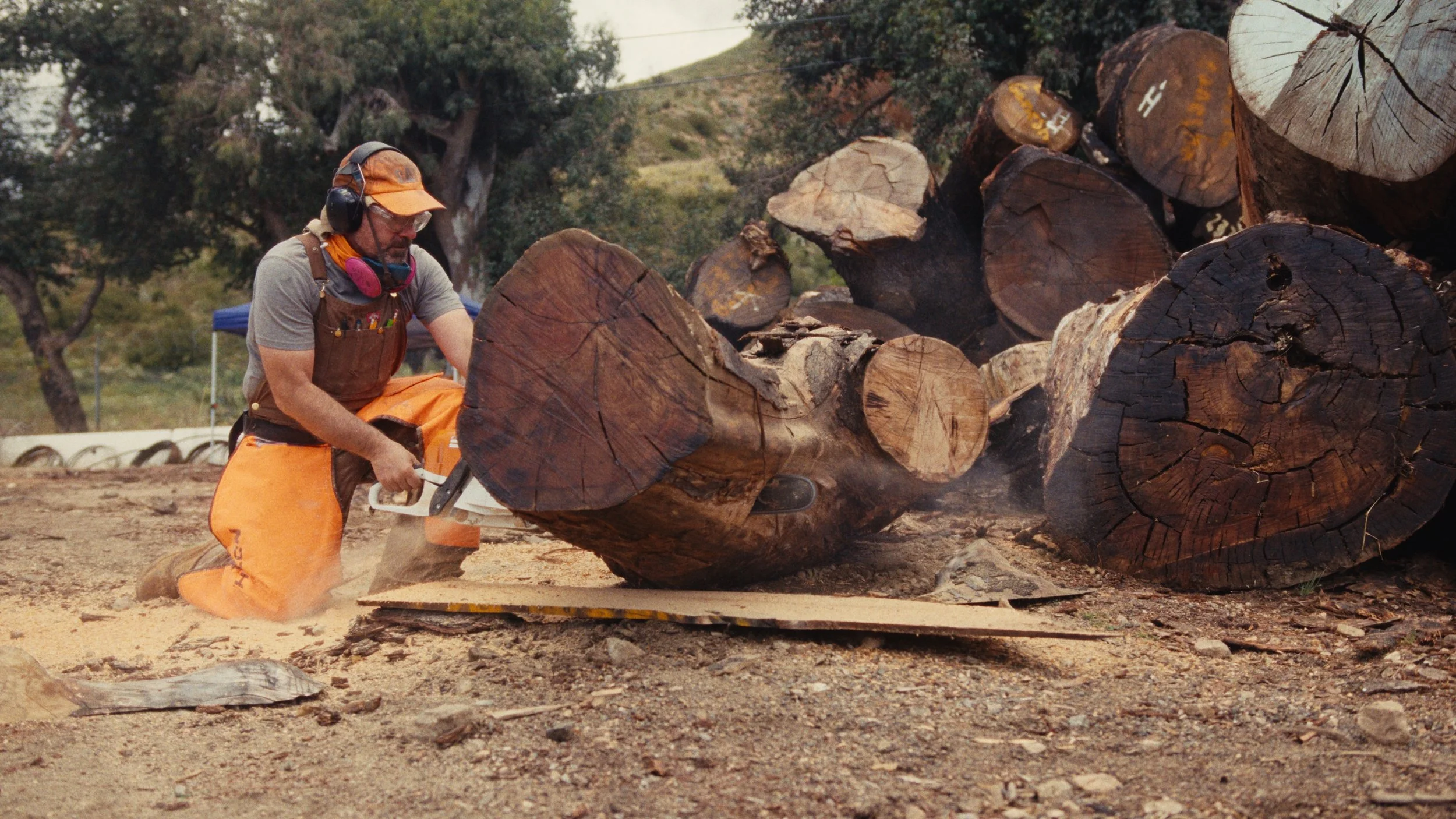 angel_city_lumber-stills_1.95.1.jpg