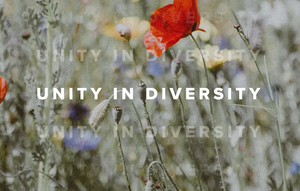 UnityInDiversity.webp