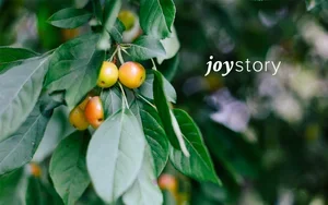 JoyStory.webp