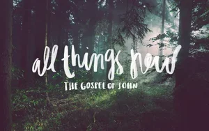AllThingsNewJohn.webp