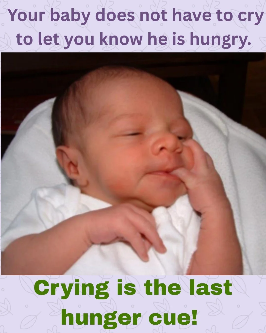 Infant Hunger Cues 🤱👶

Babies show several cues in readiness for breastfeeding. Tuning into your baby&rsquo;s cues will make your feeding more successful and satisfying for both your baby and for you.

Try to catch your baby&rsquo;s feeding cues ea